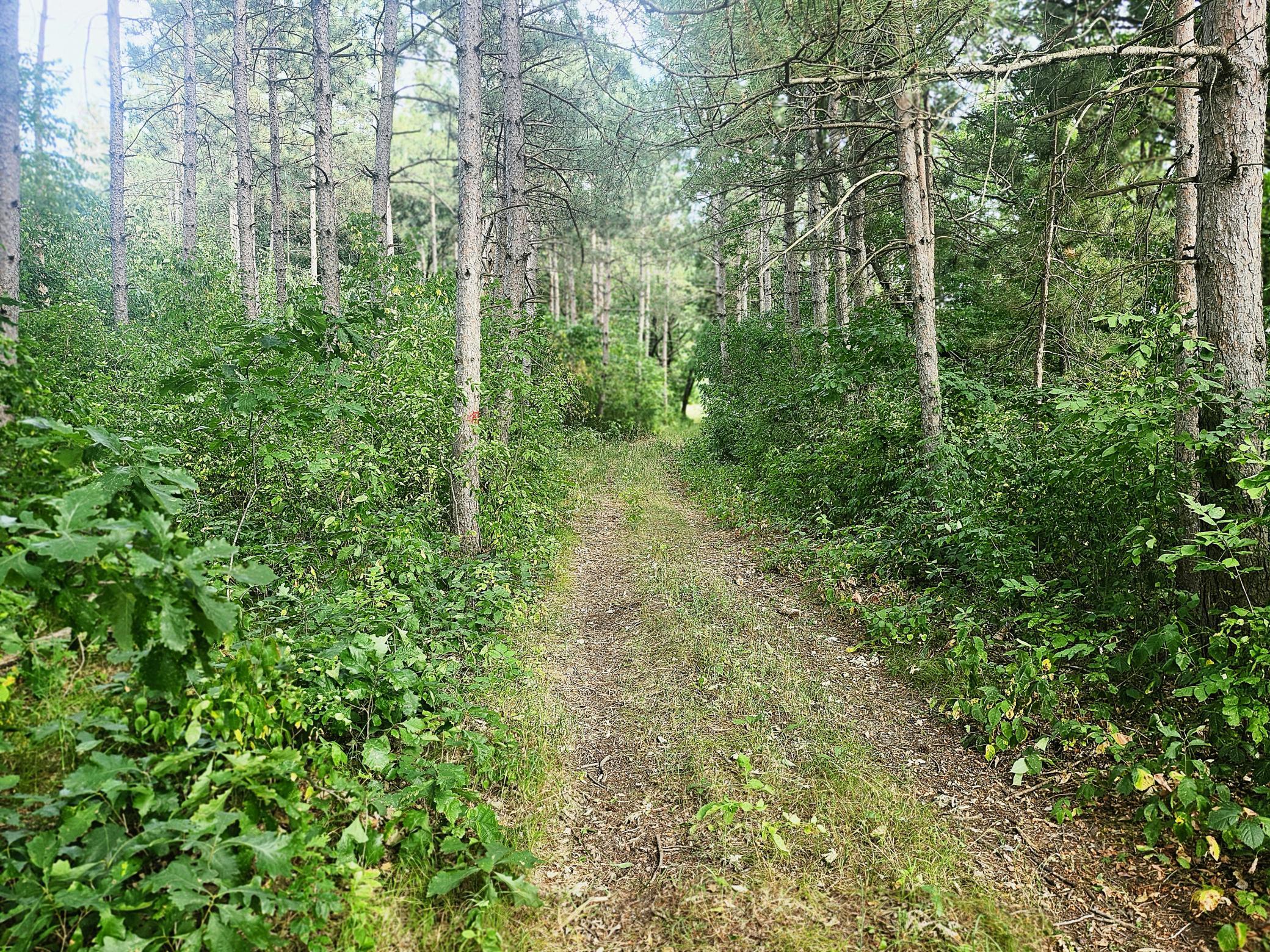 Tbd 400th Street Property Photo 1