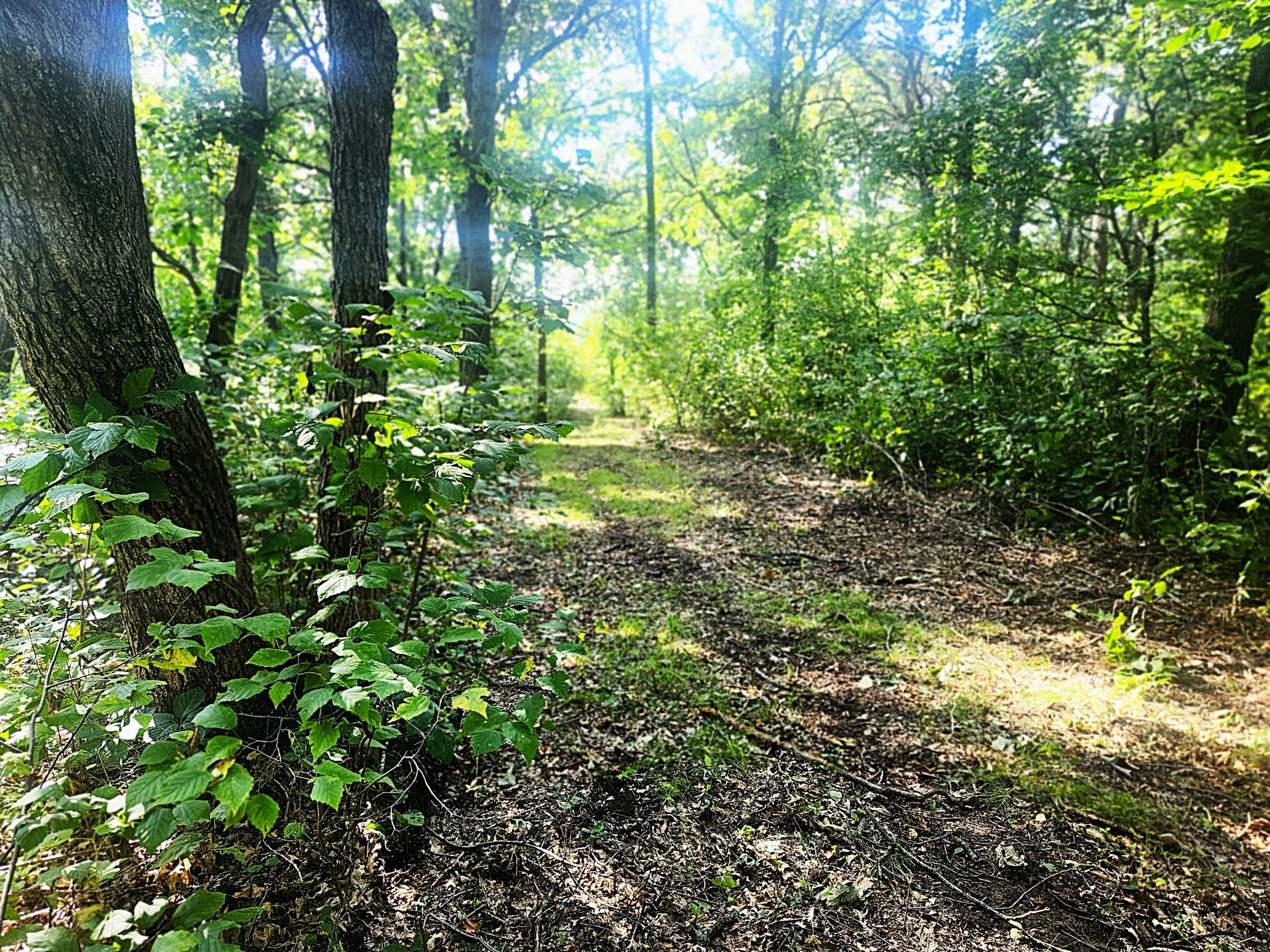 Tbd 400th Street Property Photo 2