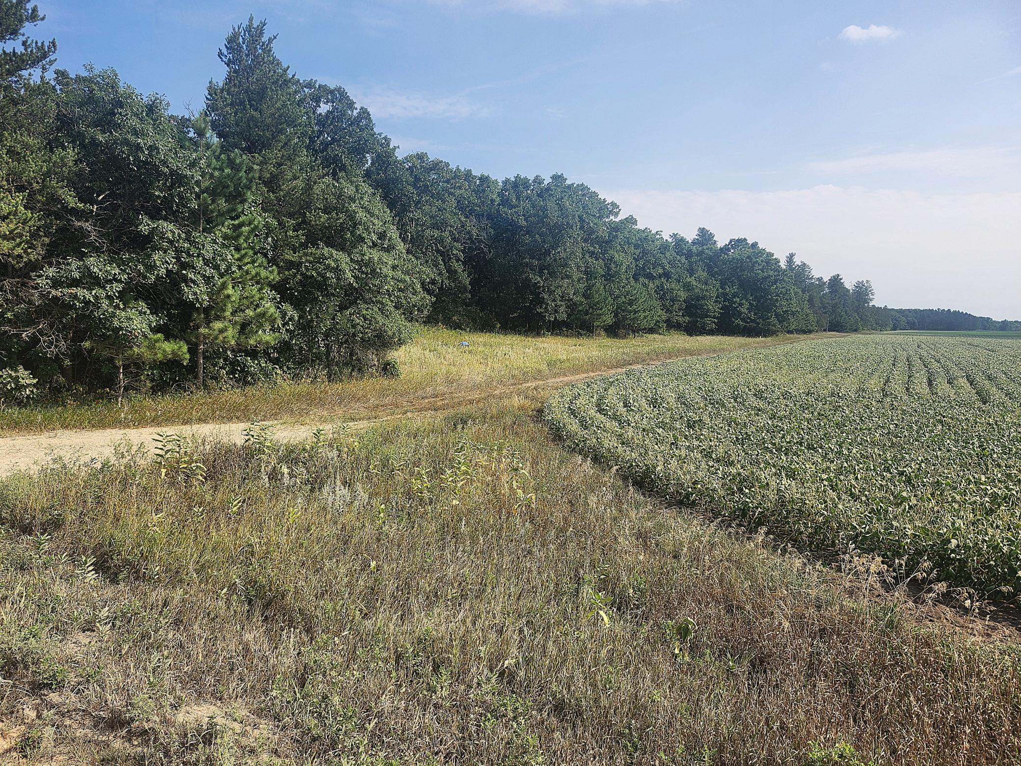 Tbd 400th Street Property Photo 5
