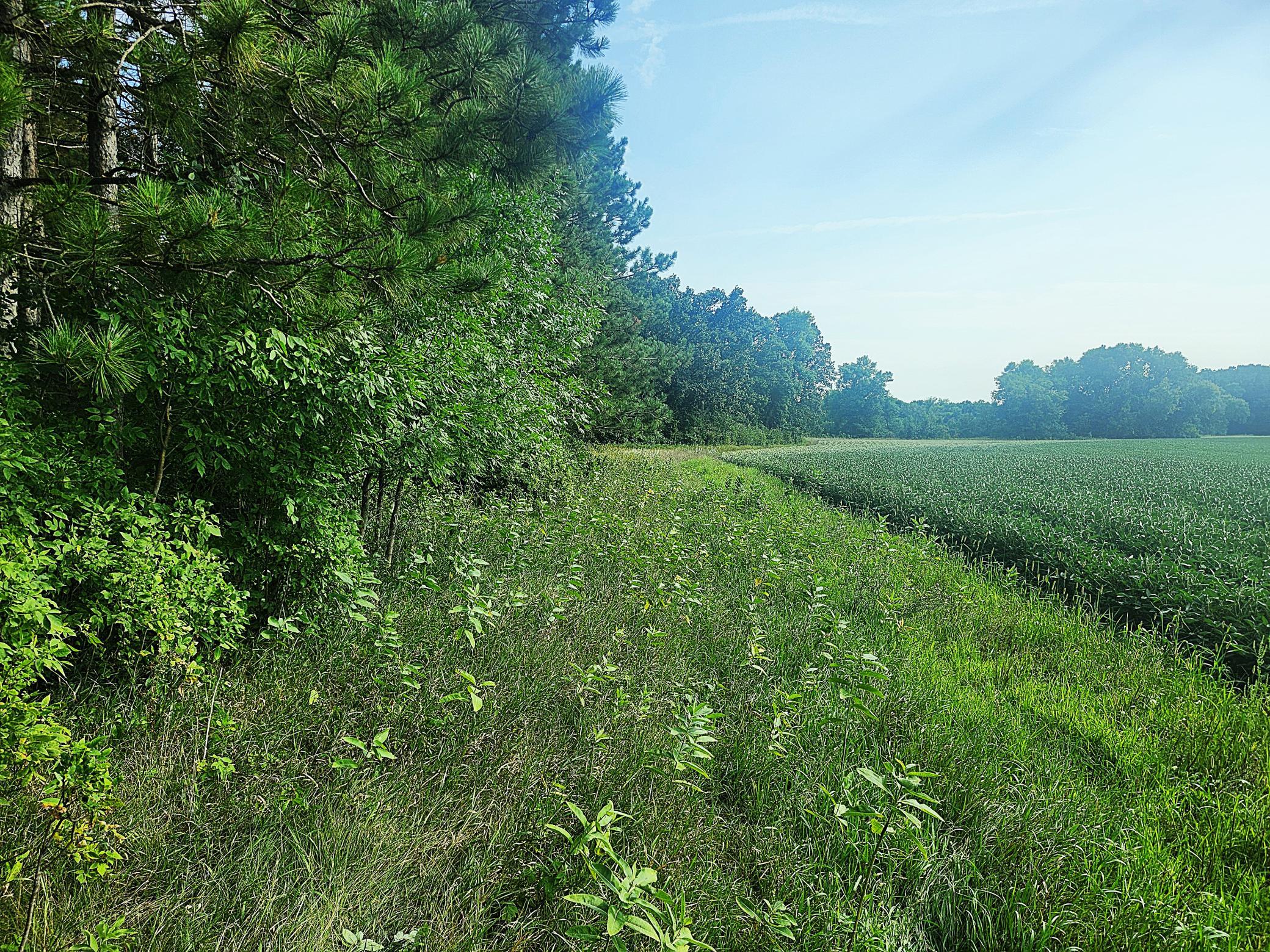 Tbd 400th Street Property Photo 12