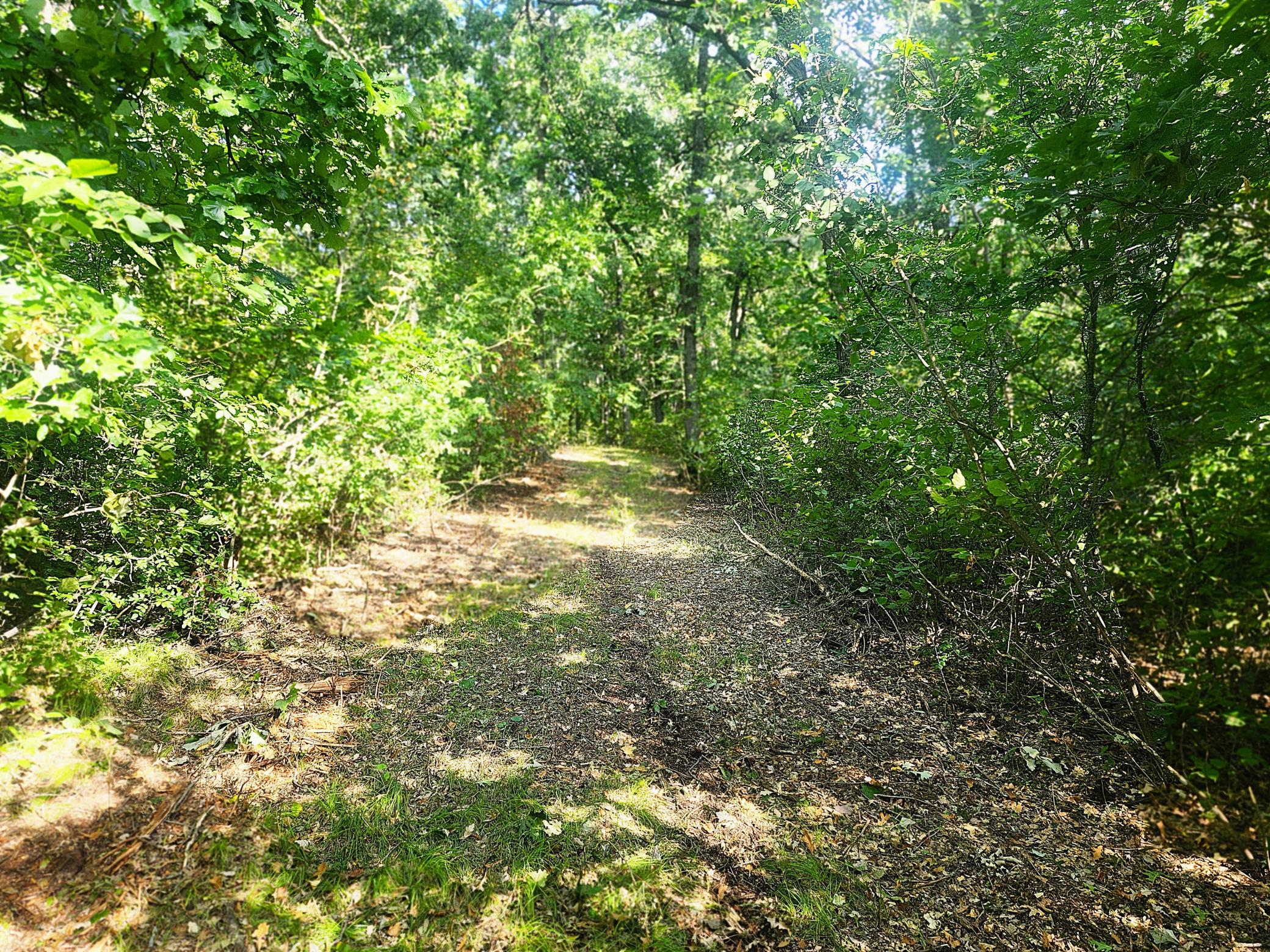 Tbd 400th Street Property Photo 29
