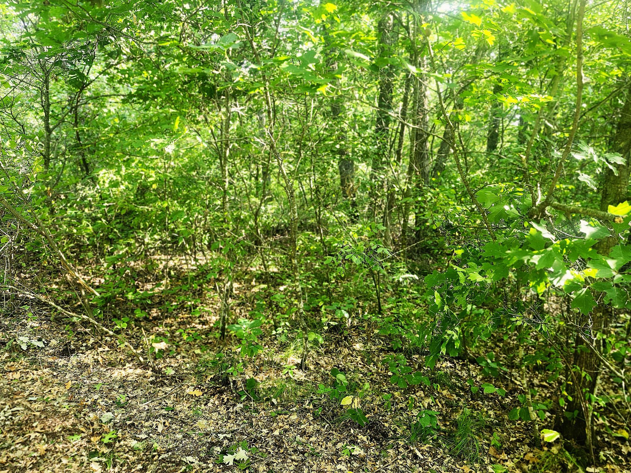 Tbd 400th Street Property Photo 30