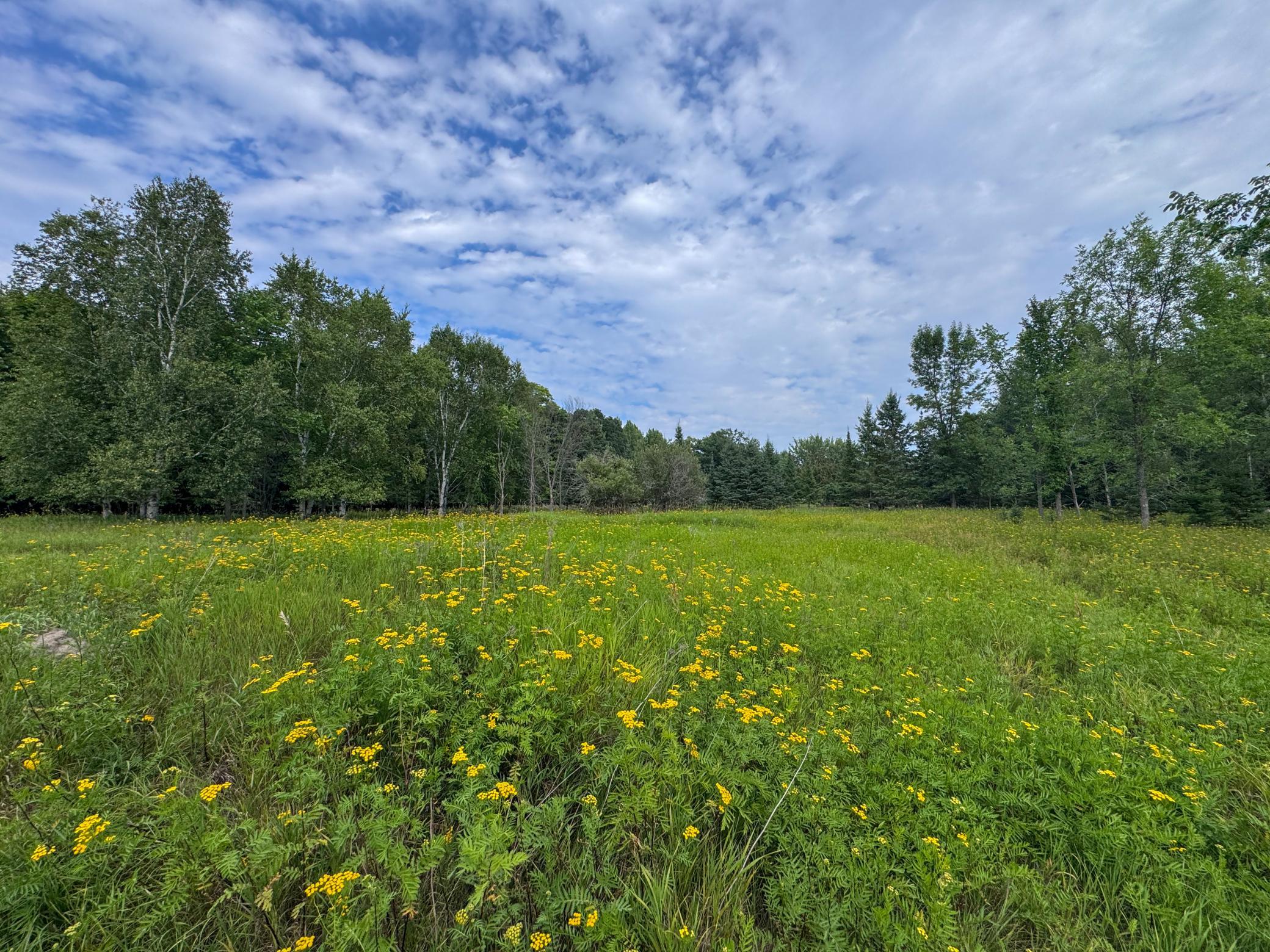 12685 Sharp Rock Road Ne Property Photo 4