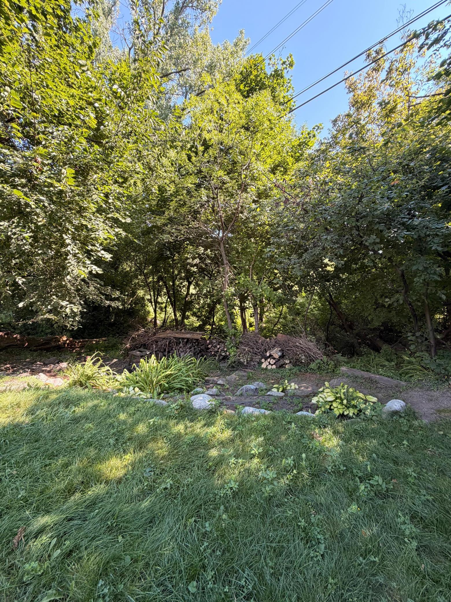 8625 Poplar Bridge Curve Property Photo 10