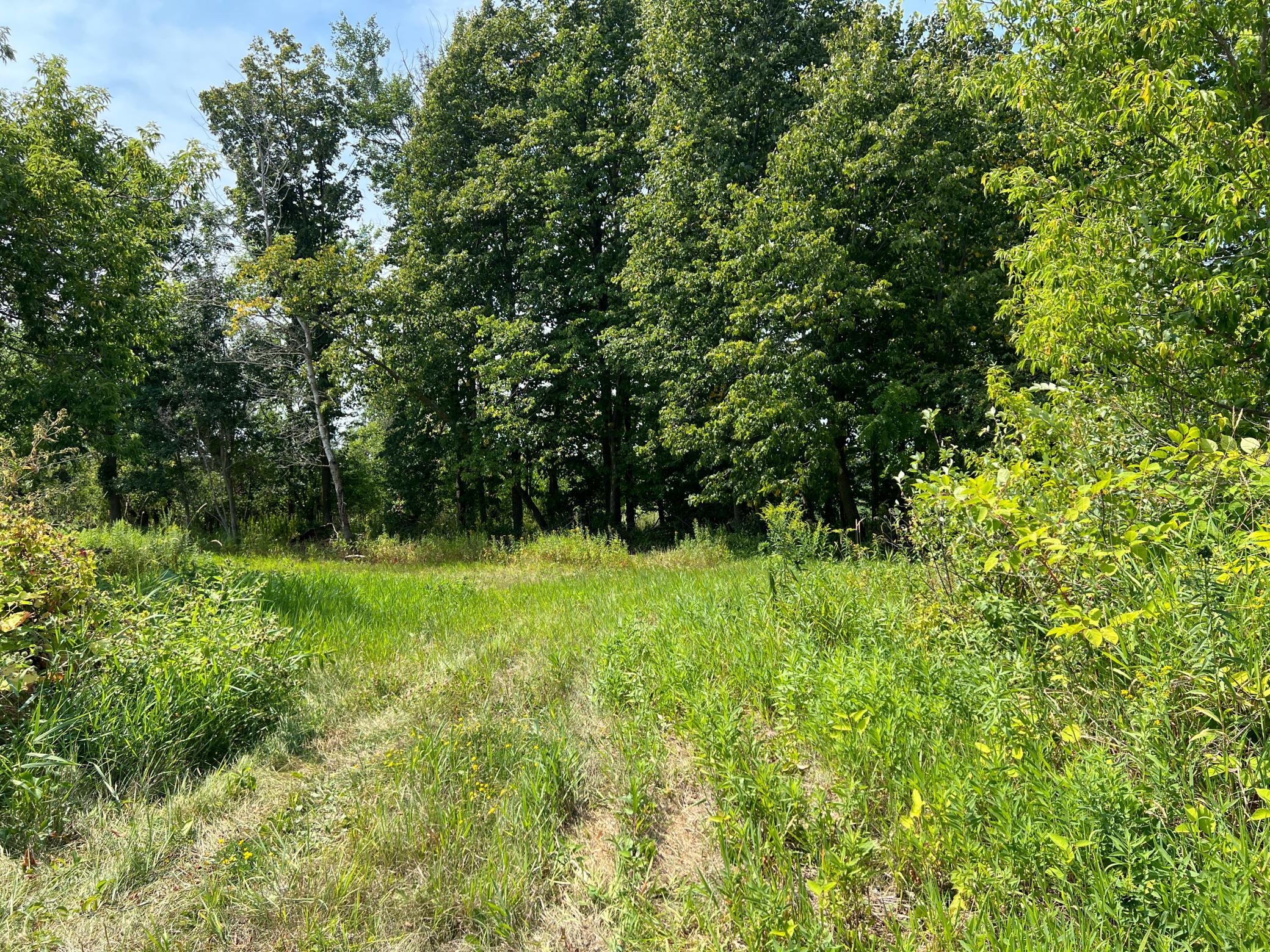 0000 State Hwy 48 Property Photo 12
