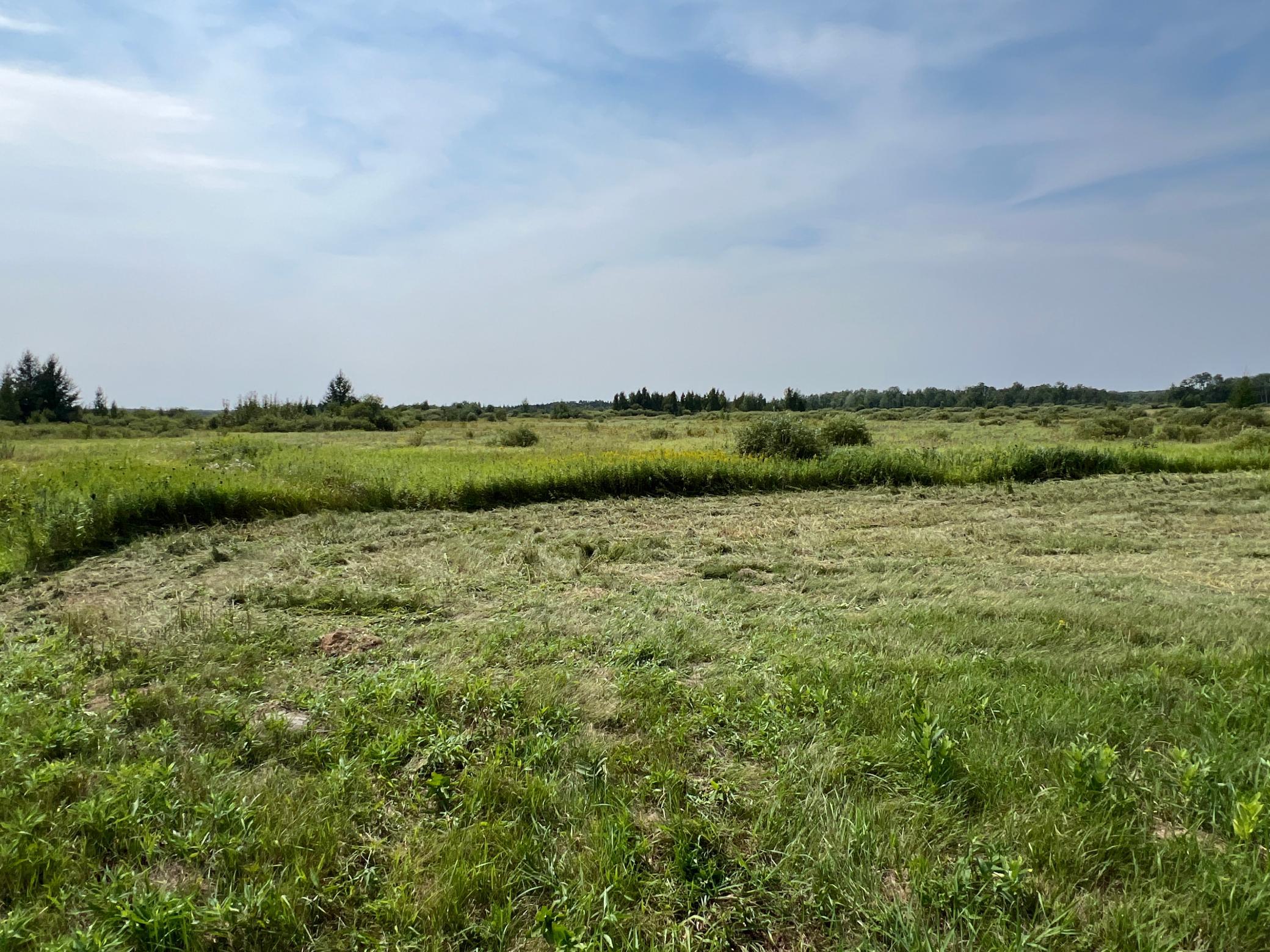 0000 State Hwy 48 Property Photo 14