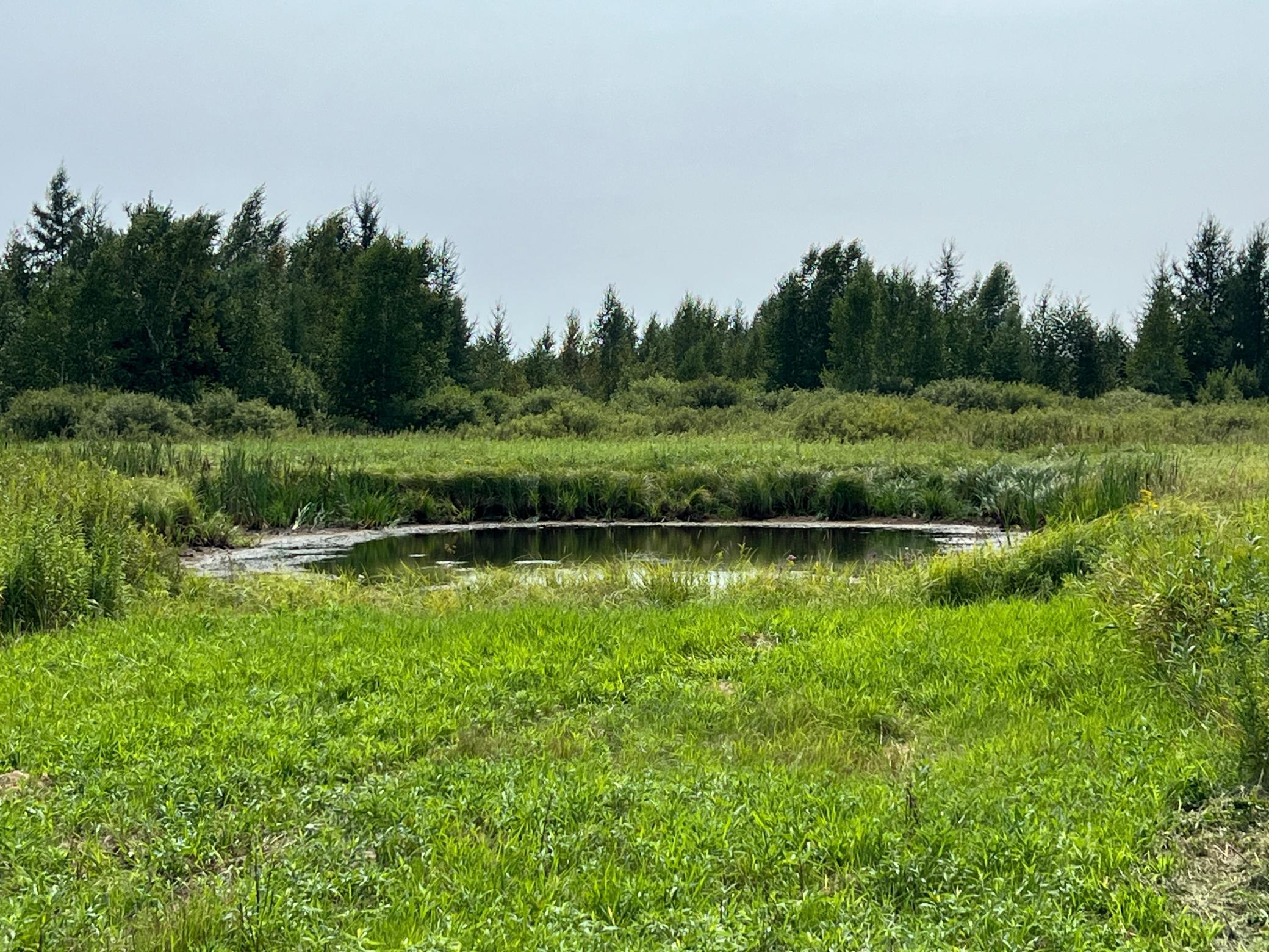 0000 State Hwy 48 Property Photo 15