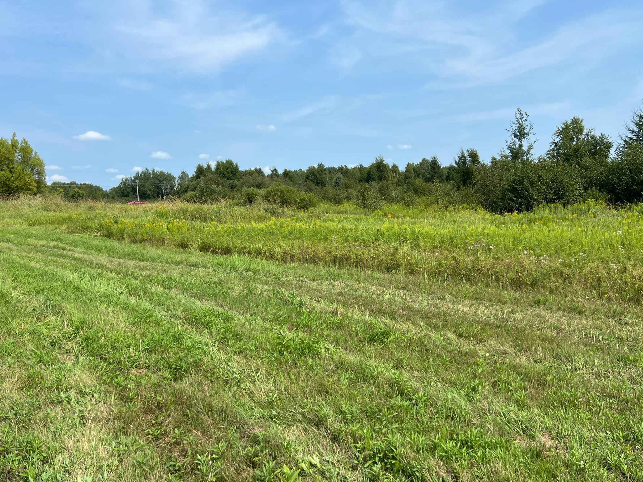 0000 State Hwy 48 Property Photo 16