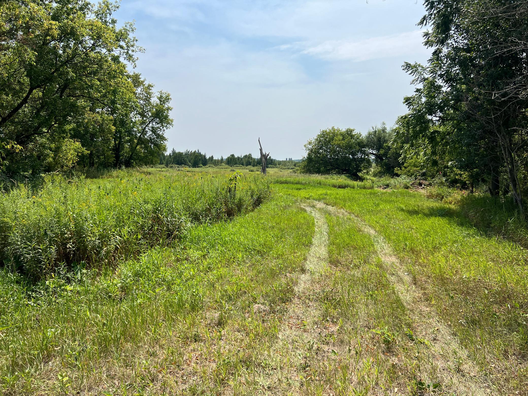 0000 State Hwy 48 Property Photo 17