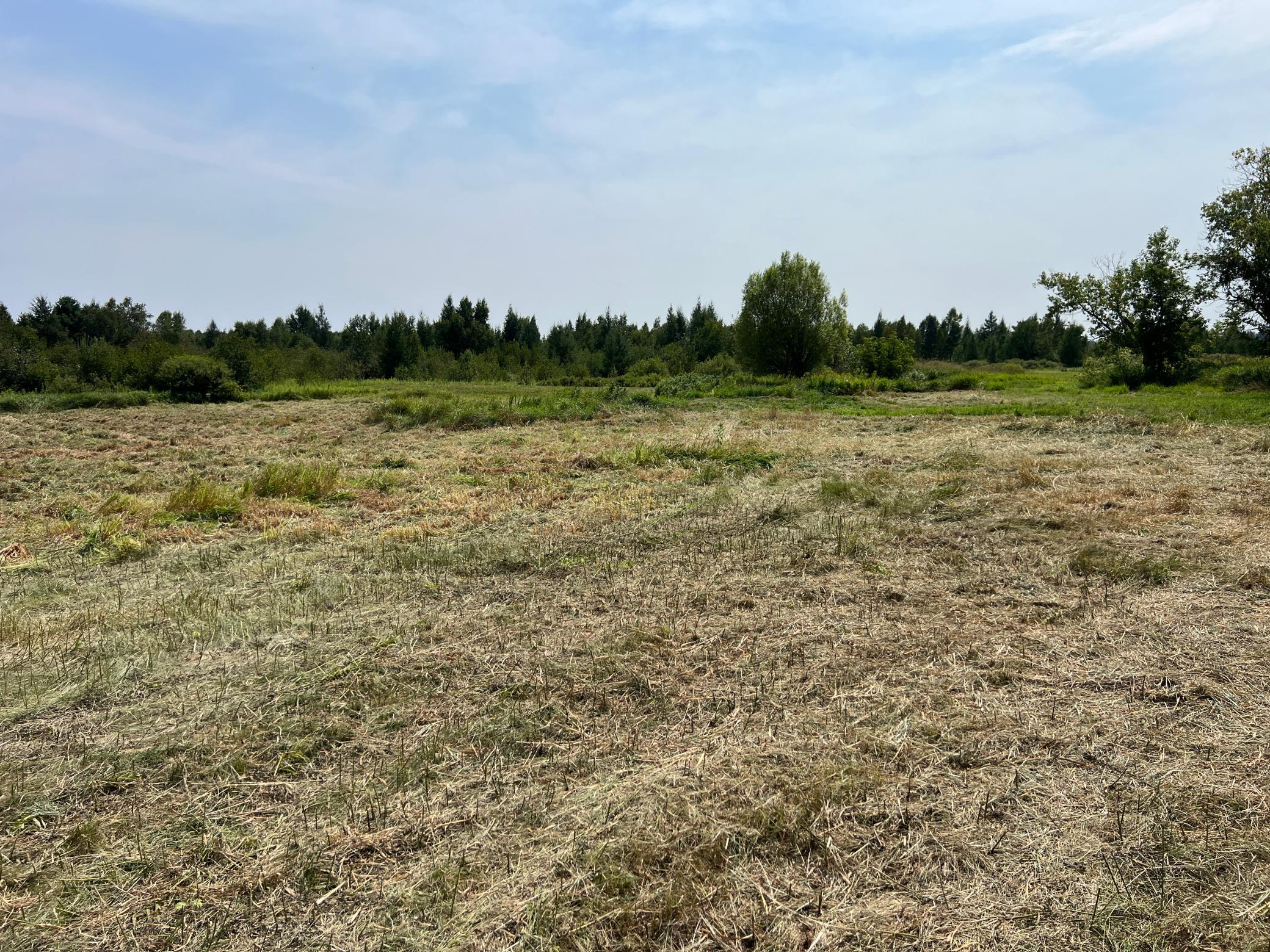 0000 State Hwy 48 Property Photo 23