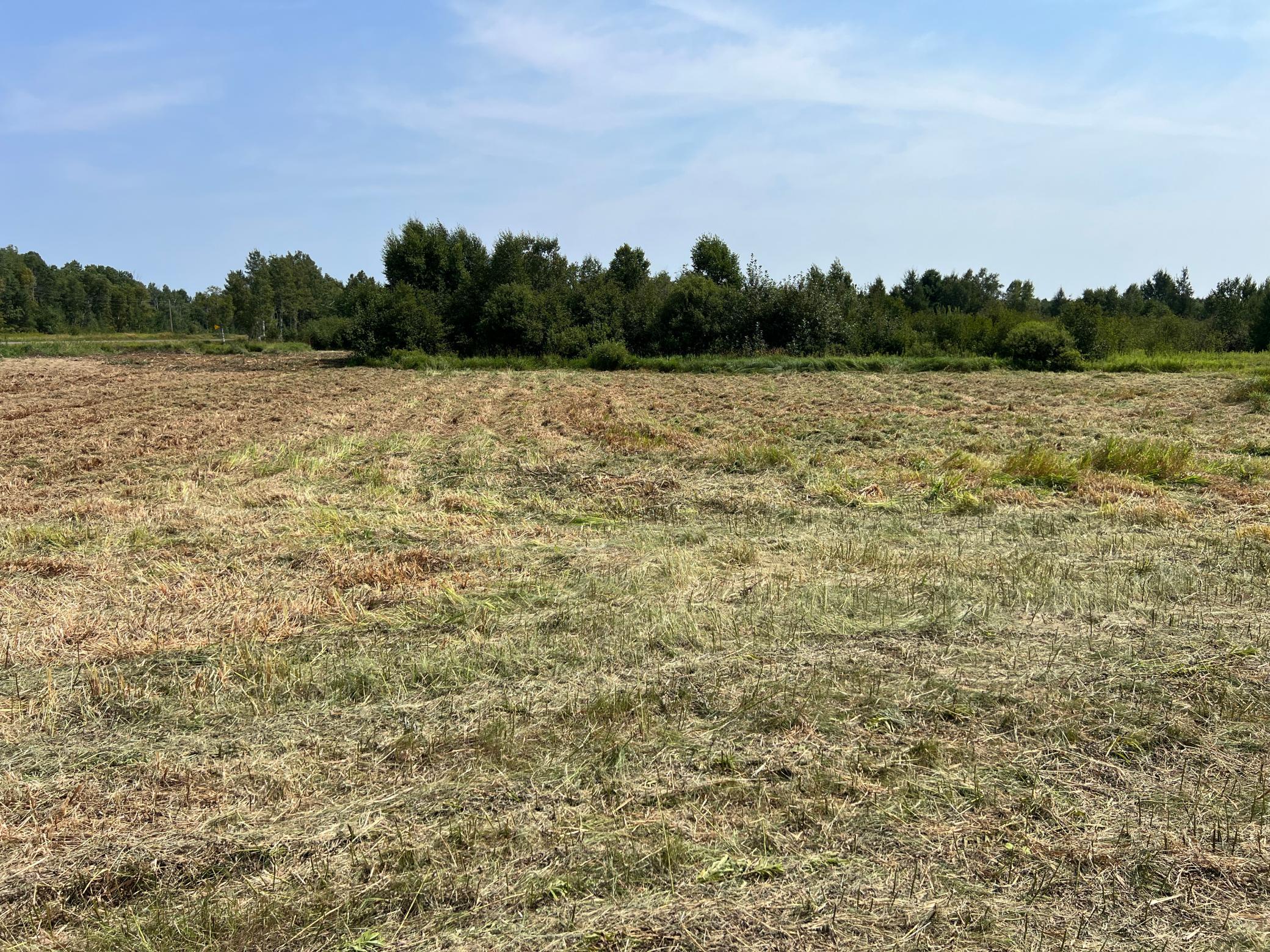 0000 State Hwy 48 Property Photo 24