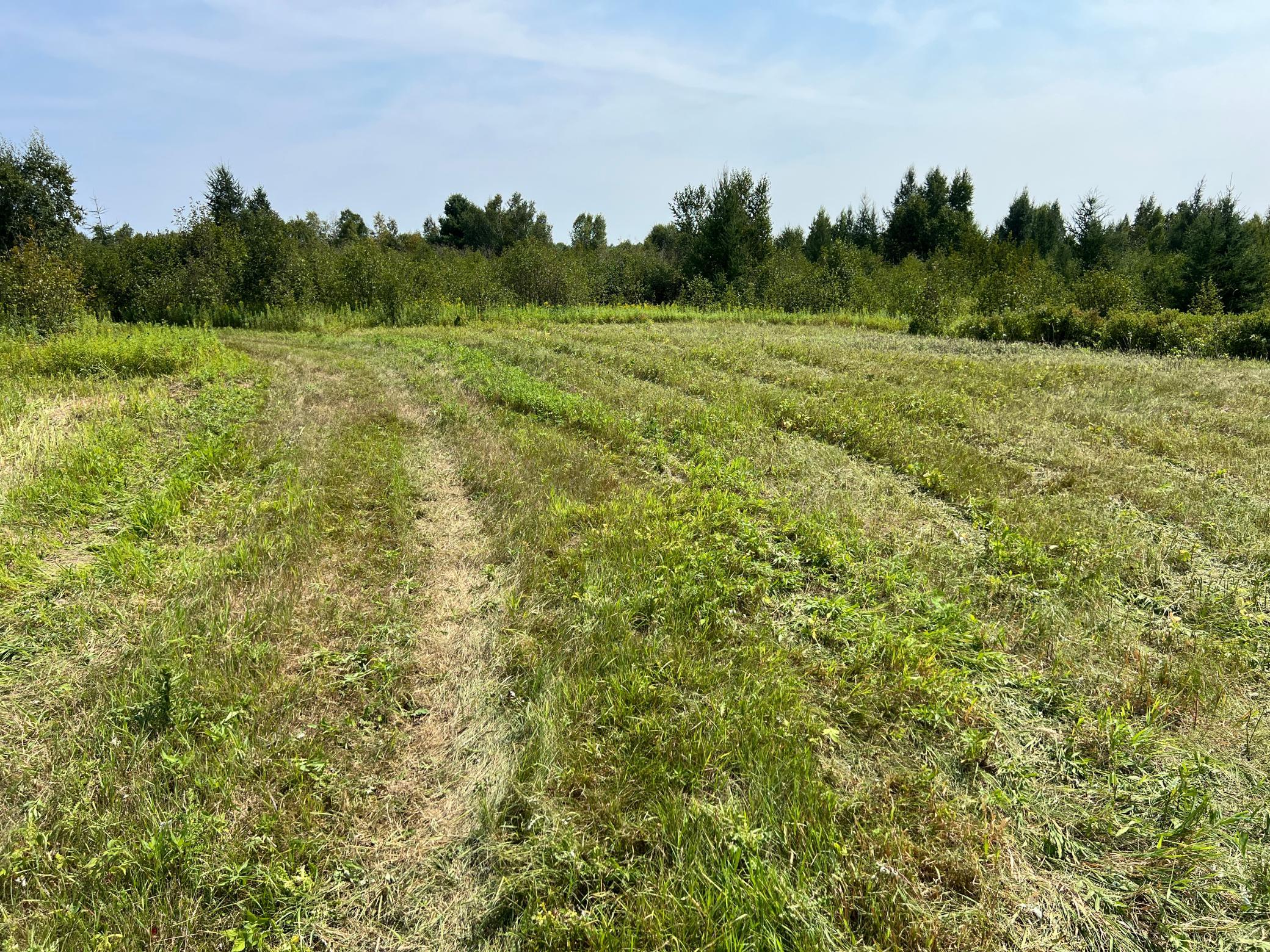 0000 State Hwy 48 Property Photo 25