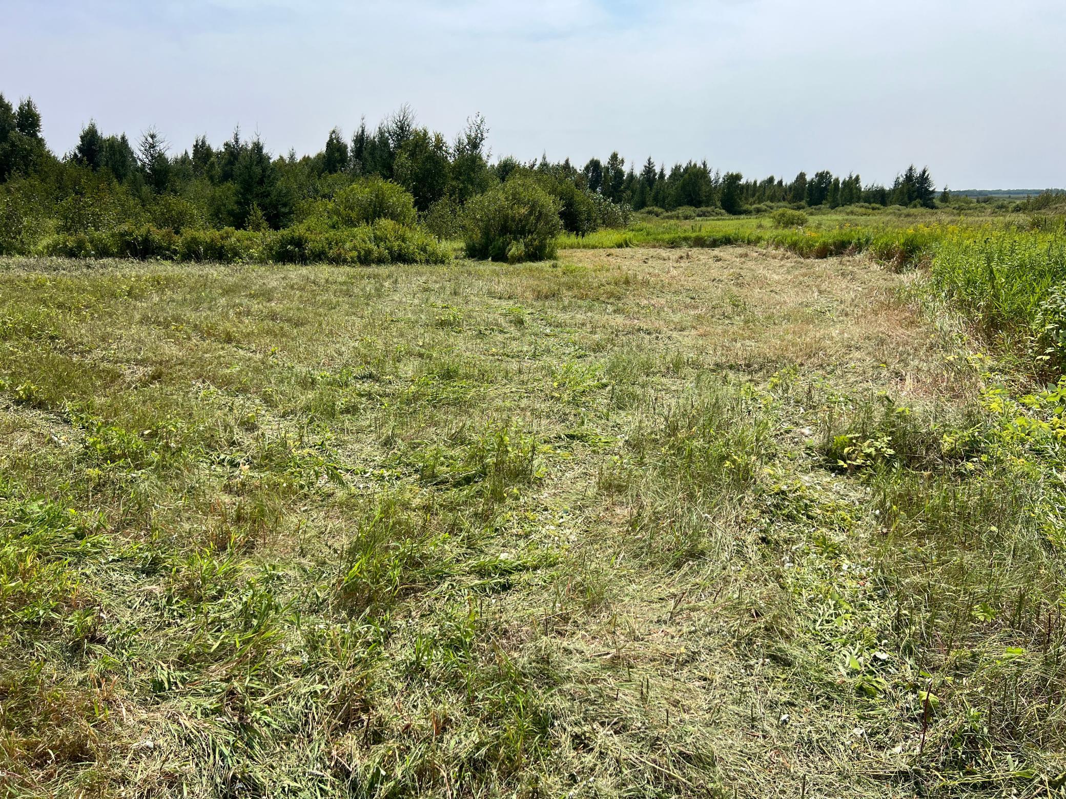 0000 State Hwy 48 Property Photo 26