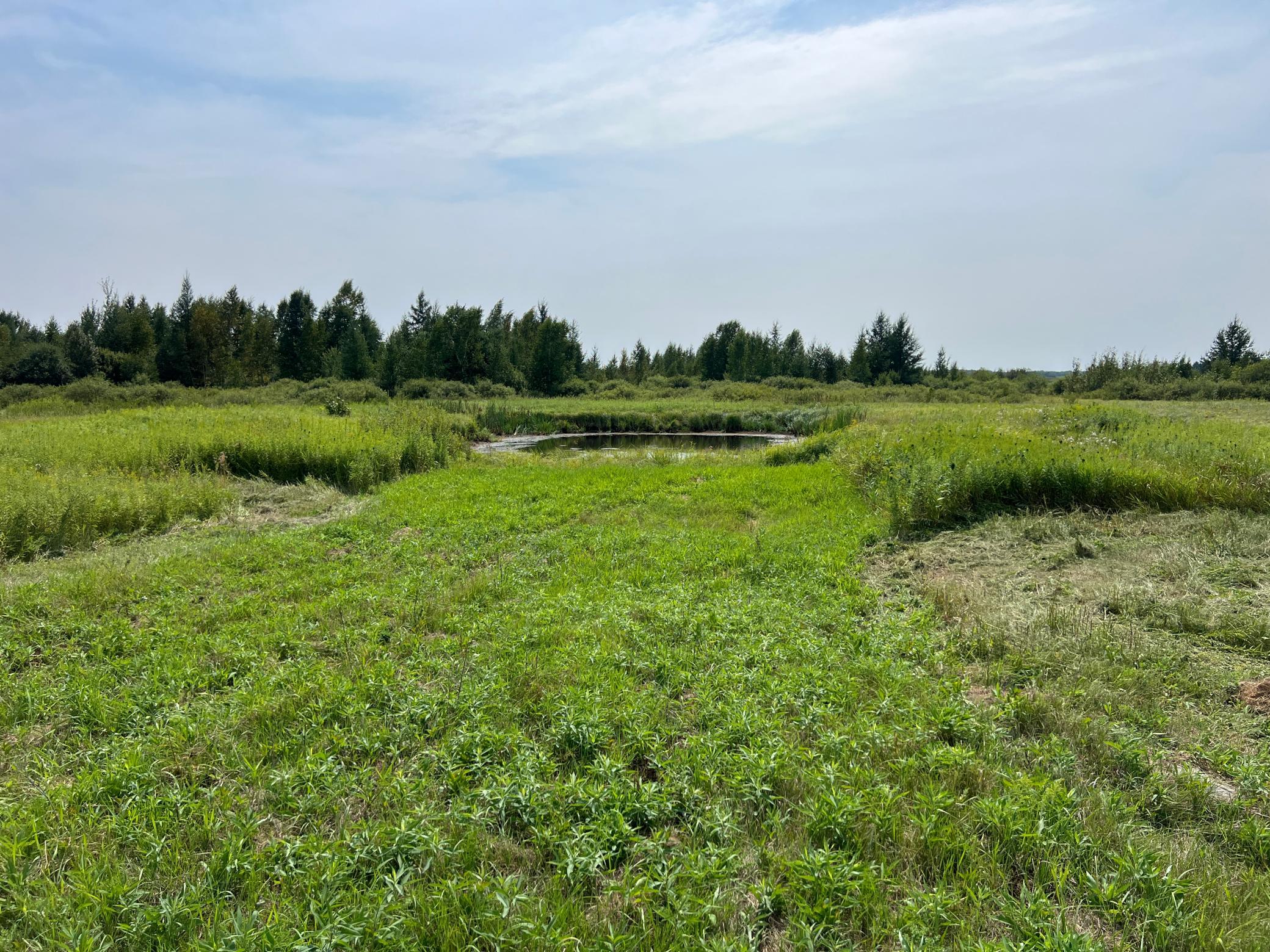 0000 State Hwy 48 Property Photo 27
