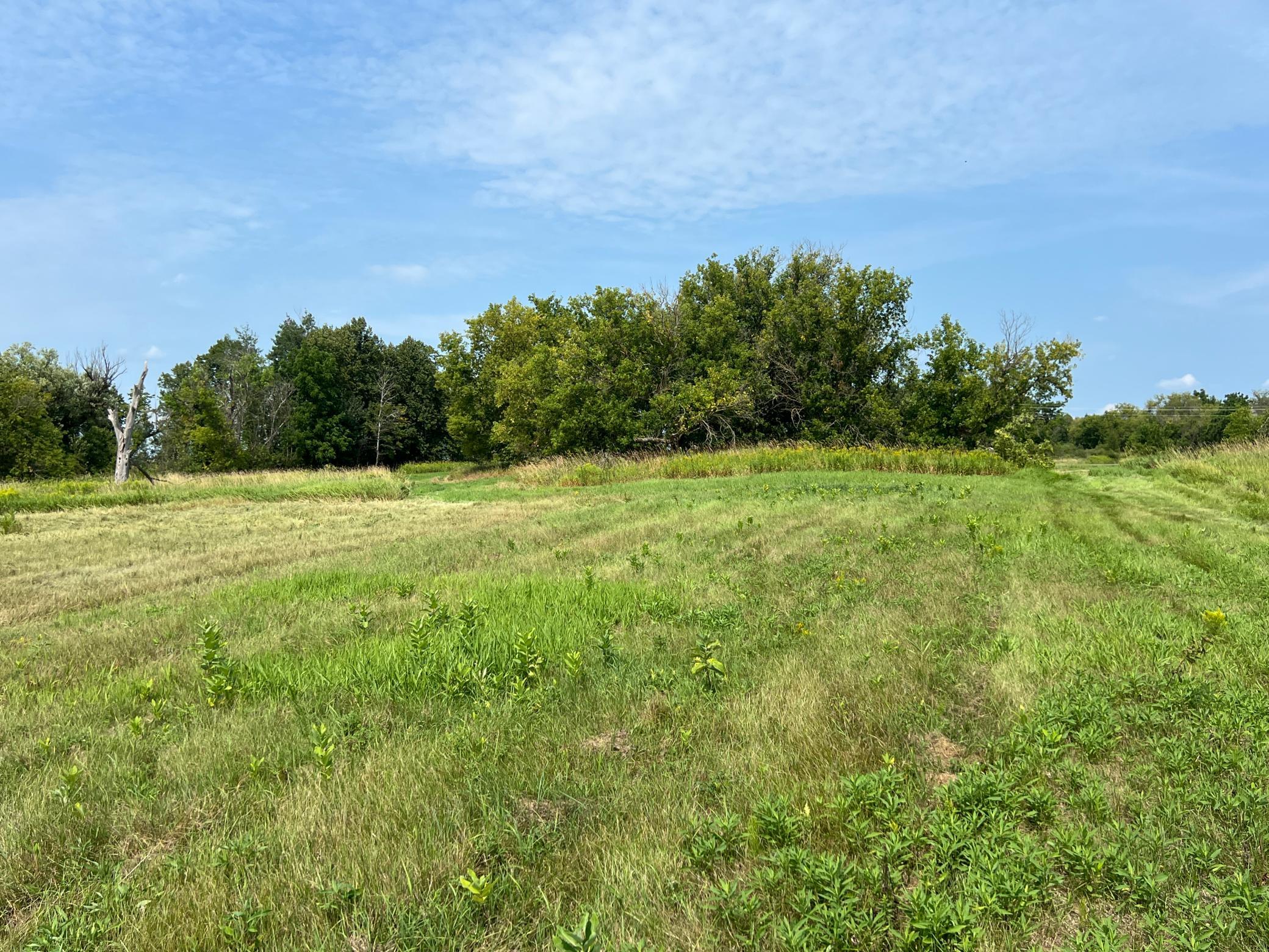 0000 State Hwy 48 Property Photo 28