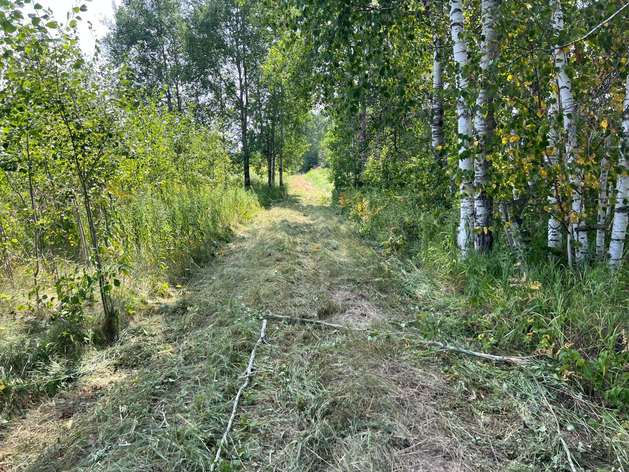 00 State Hwy 48 Property Photo 3