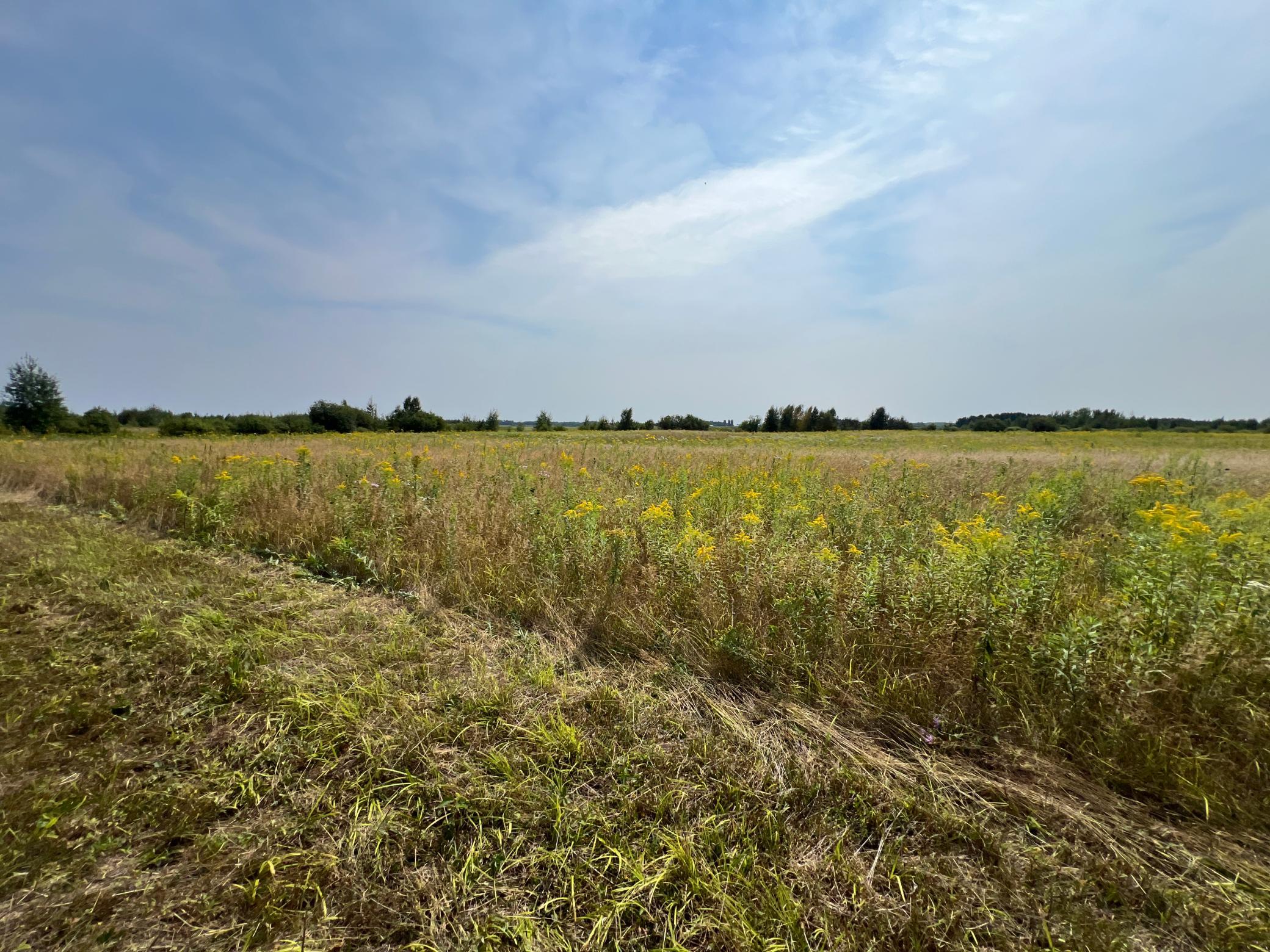 00 State Hwy 48 Property Photo 11