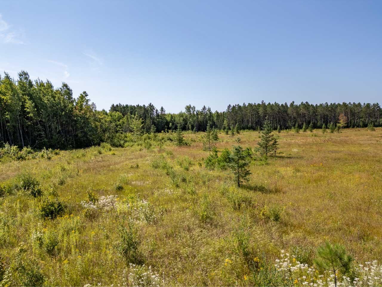 Tbd Hwy 5 Property Photo 26