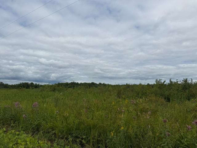 19348 170th Street Property Photo 27