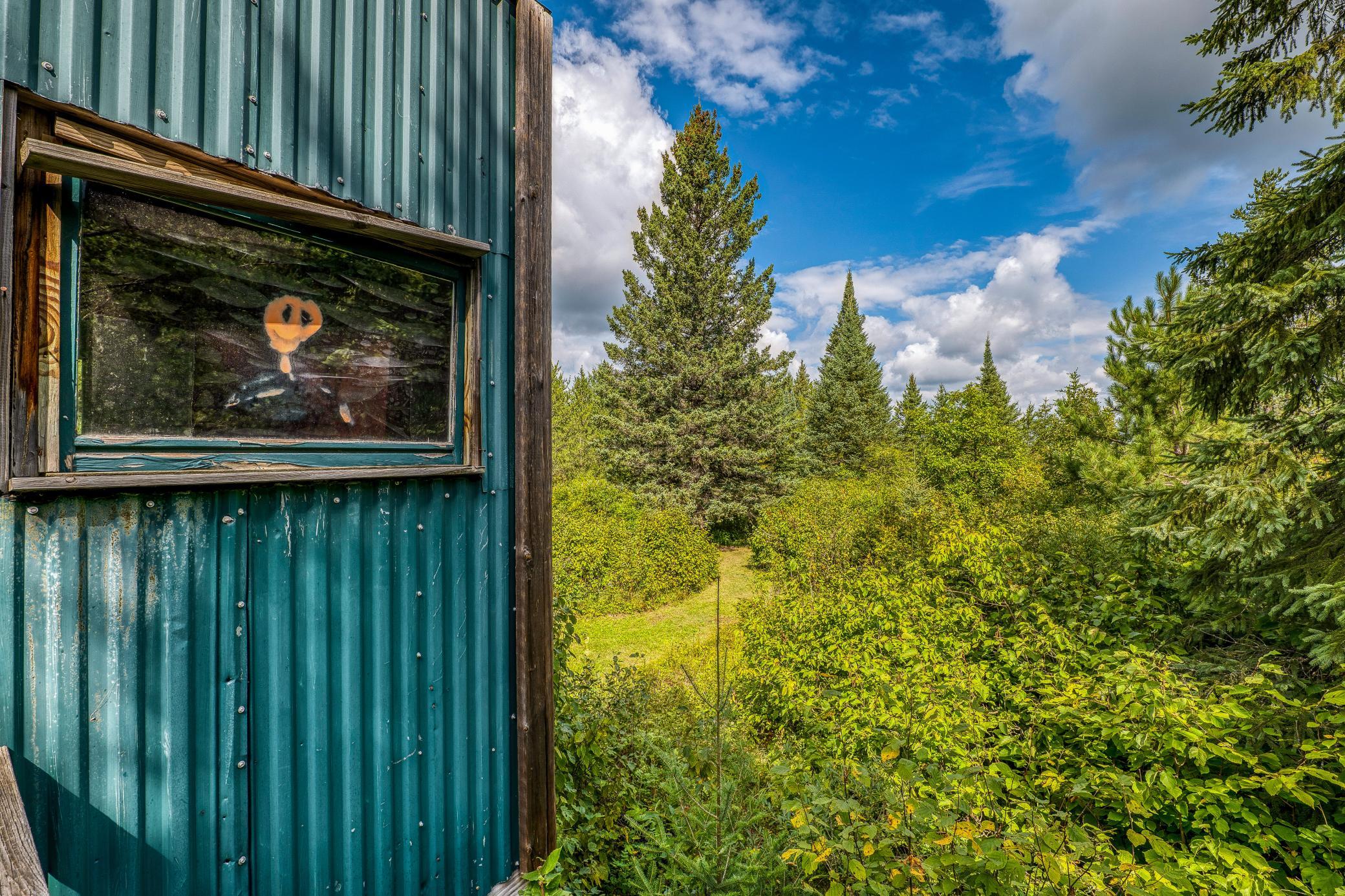 12946 390th Street Property Photo 90