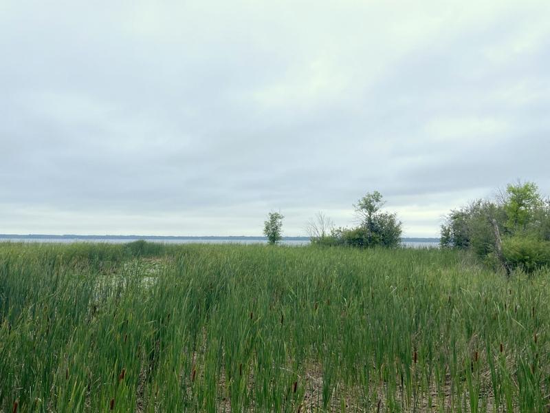 24627 County Road 3 Property Photo 2