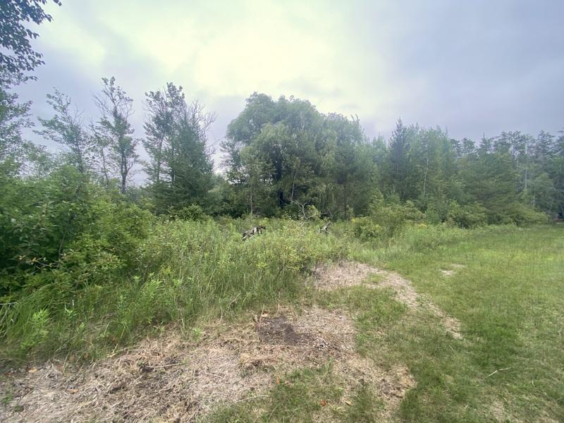 24627 County Road 3 Property Photo 3