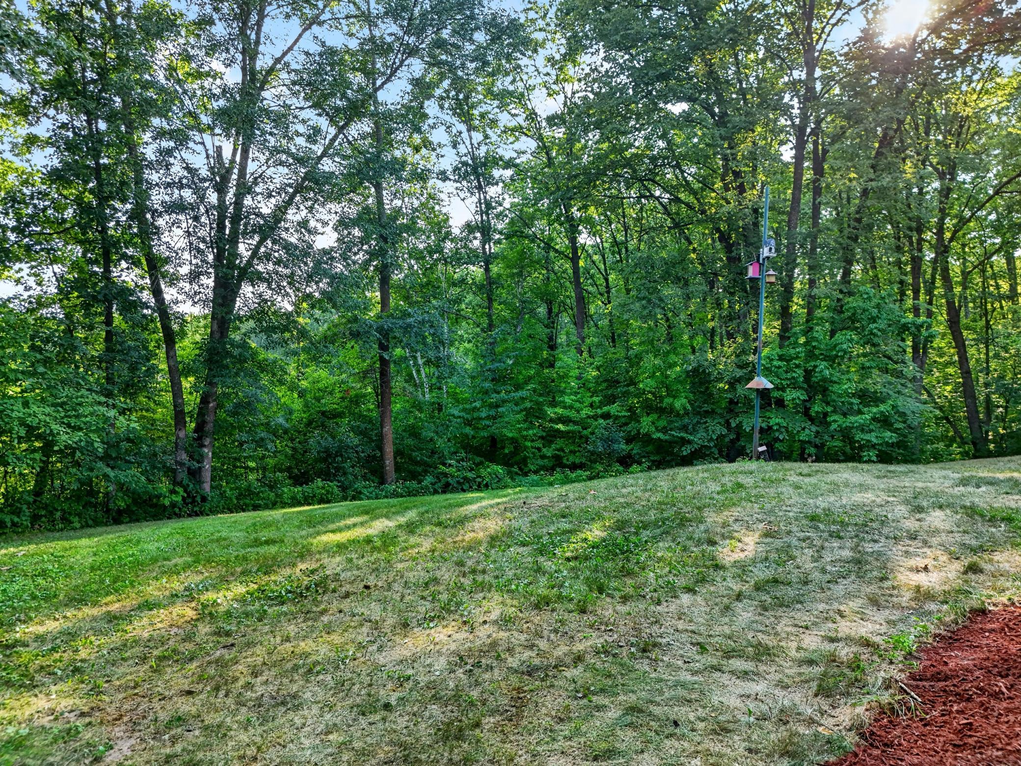 26433 Cole Lake Way Property Photo 51