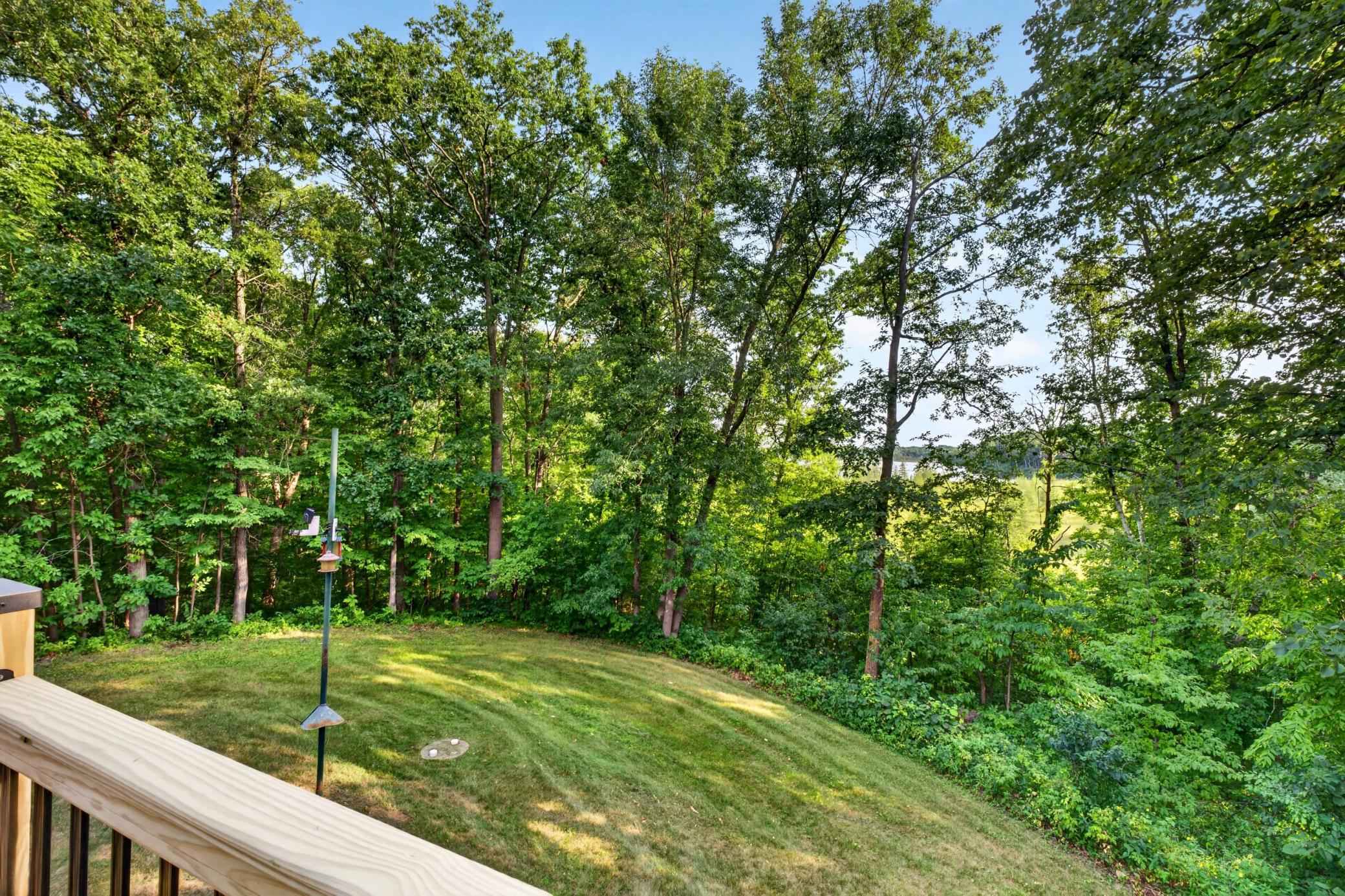 26433 Cole Lake Way Property Photo 52