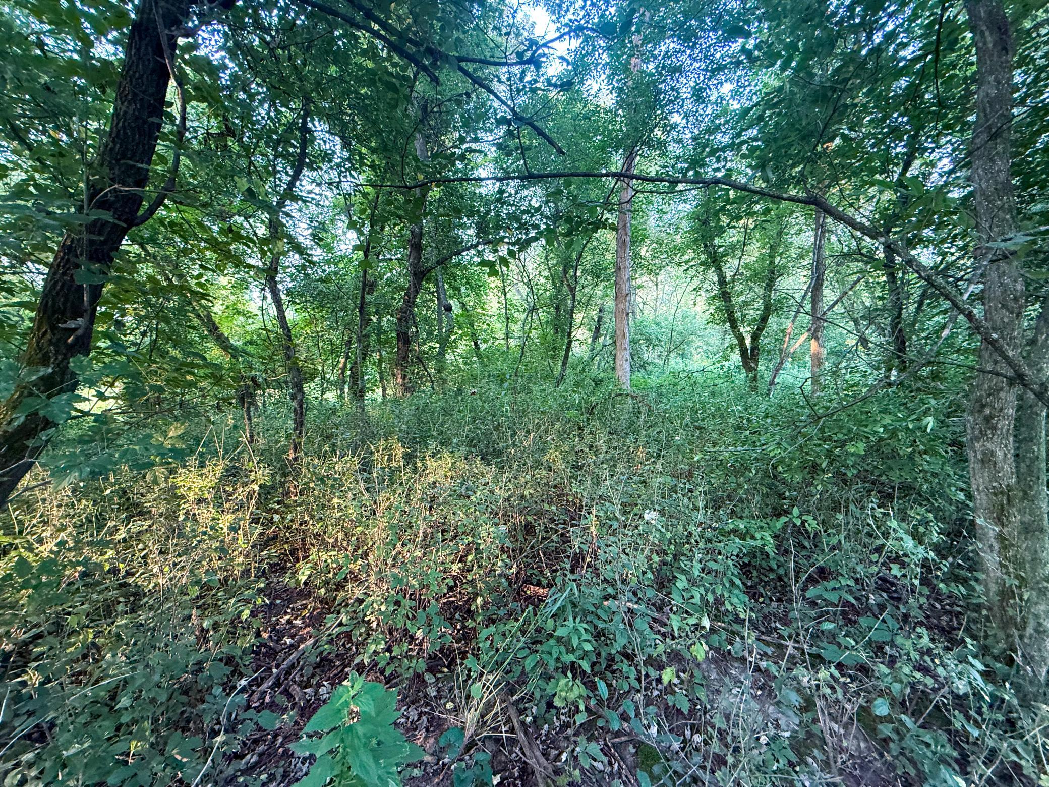 Tbd 299th Avenue Property Photo 10