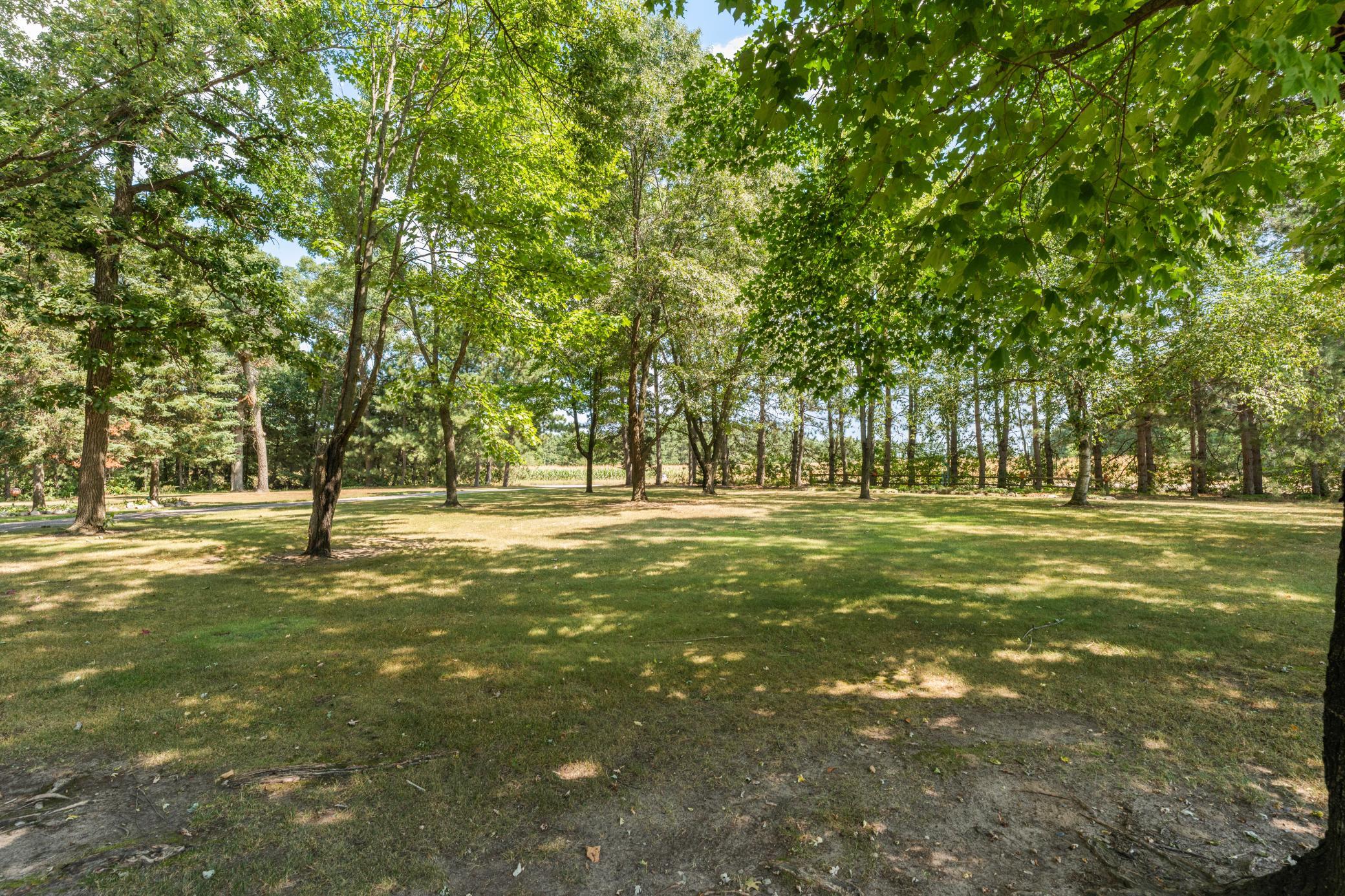 22897 165th Avenue Property Photo 39