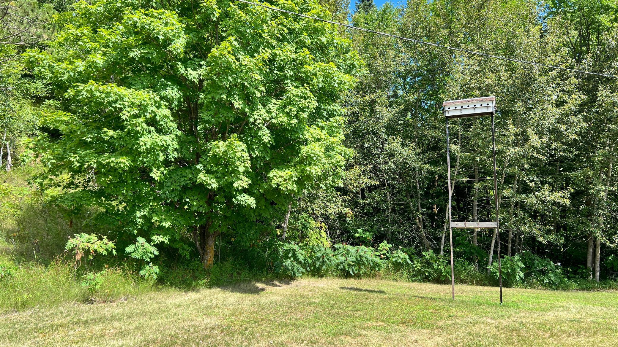 39589 Elbow Lane Property Photo 9