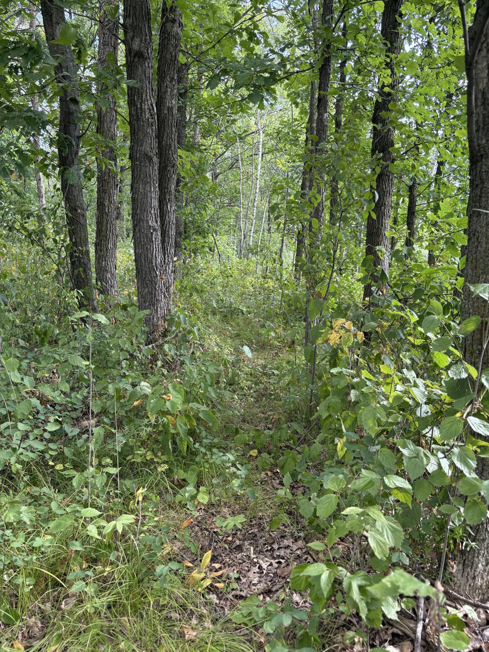 Xxx Meadowview Road Property Photo 3
