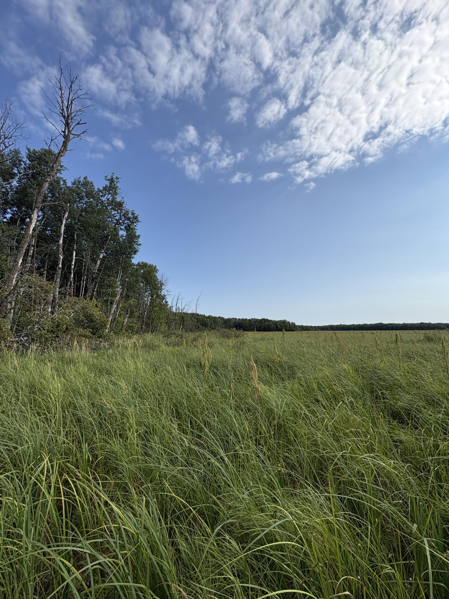 Xxx Meadowview Road Property Photo 6