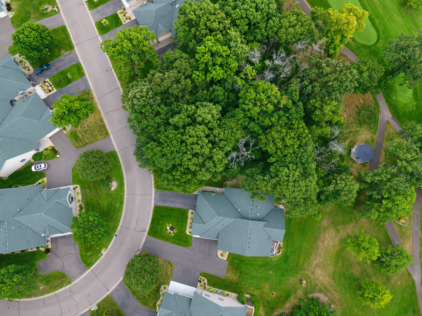 4201 93rd Avenue N Property Photo 40