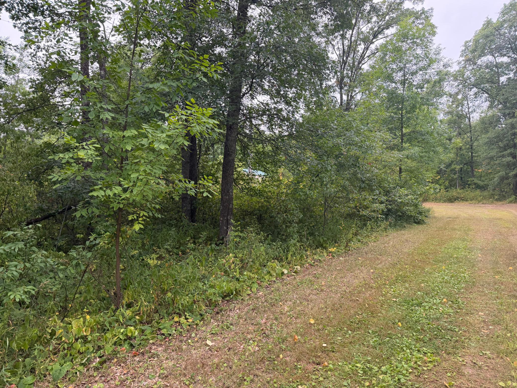 Lot 1 Whitetail Property Photo 1