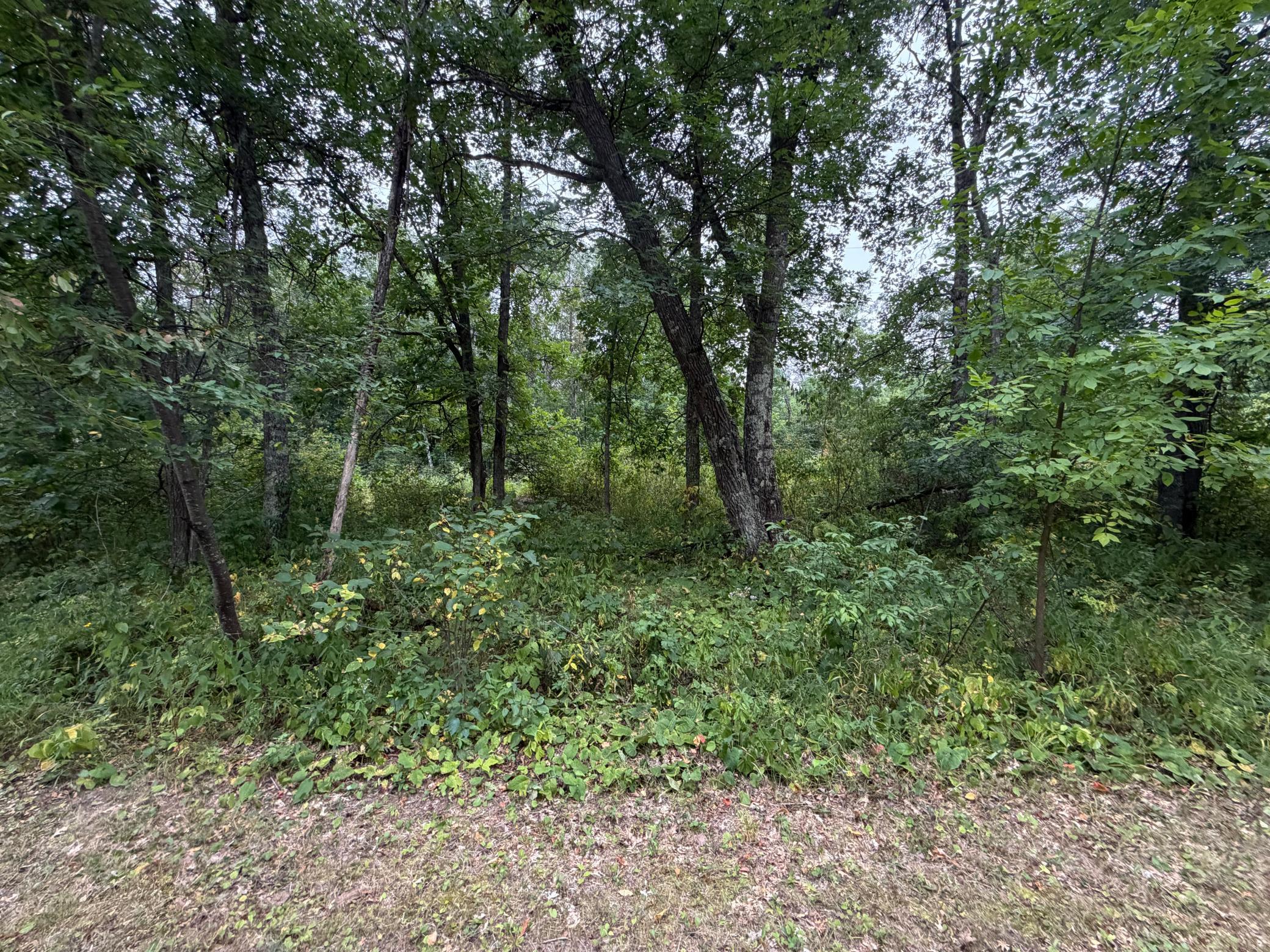 Lot 1 Whitetail Property Photo 2