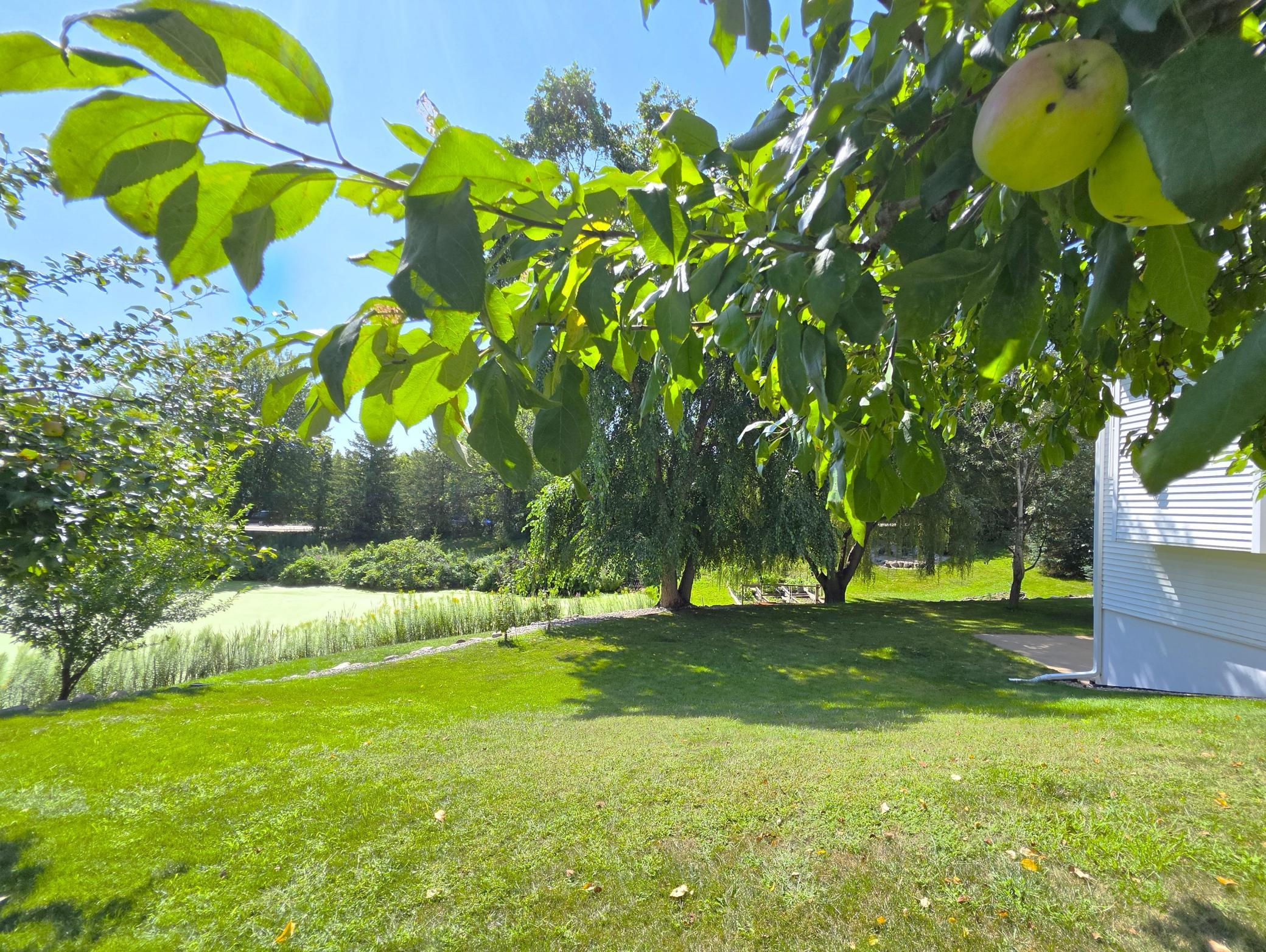 2051 Highgate Circle Property Photo 67