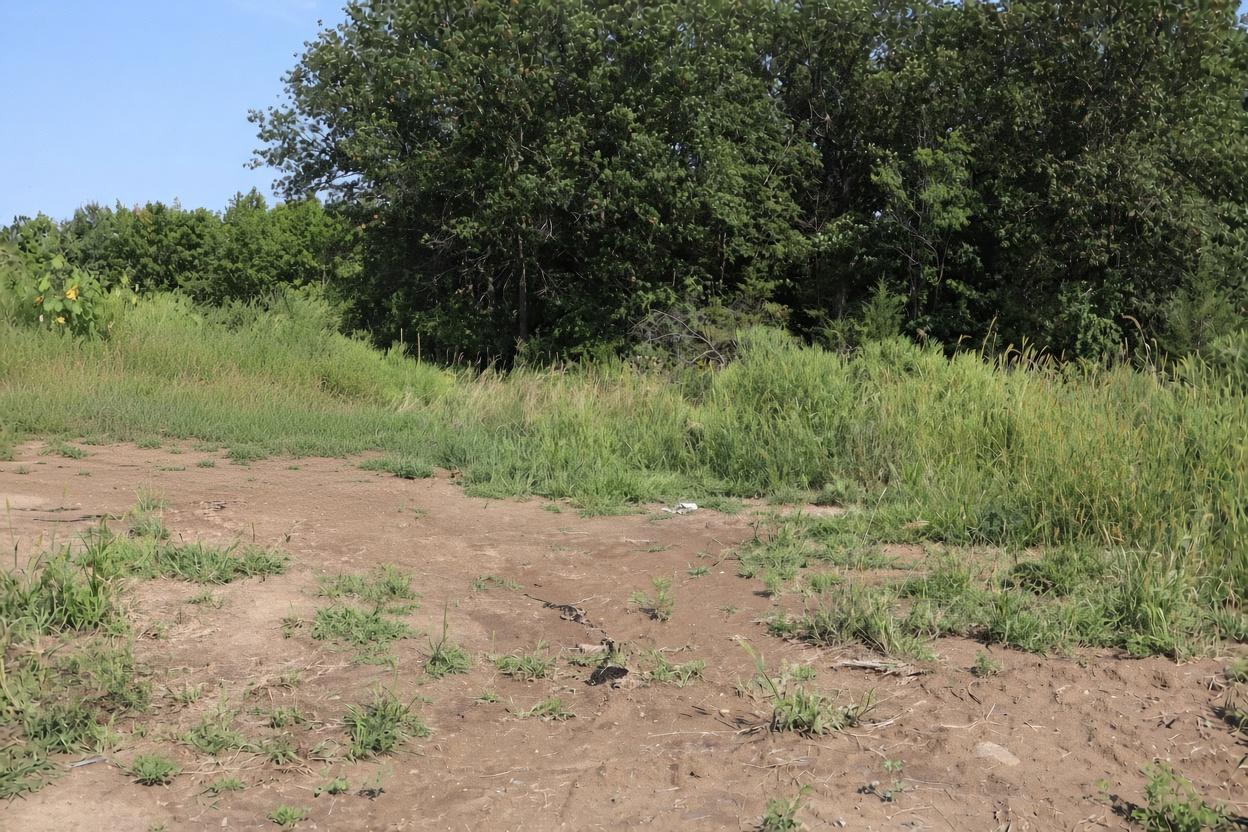 2011 Mulberry Lane Property Photo 1