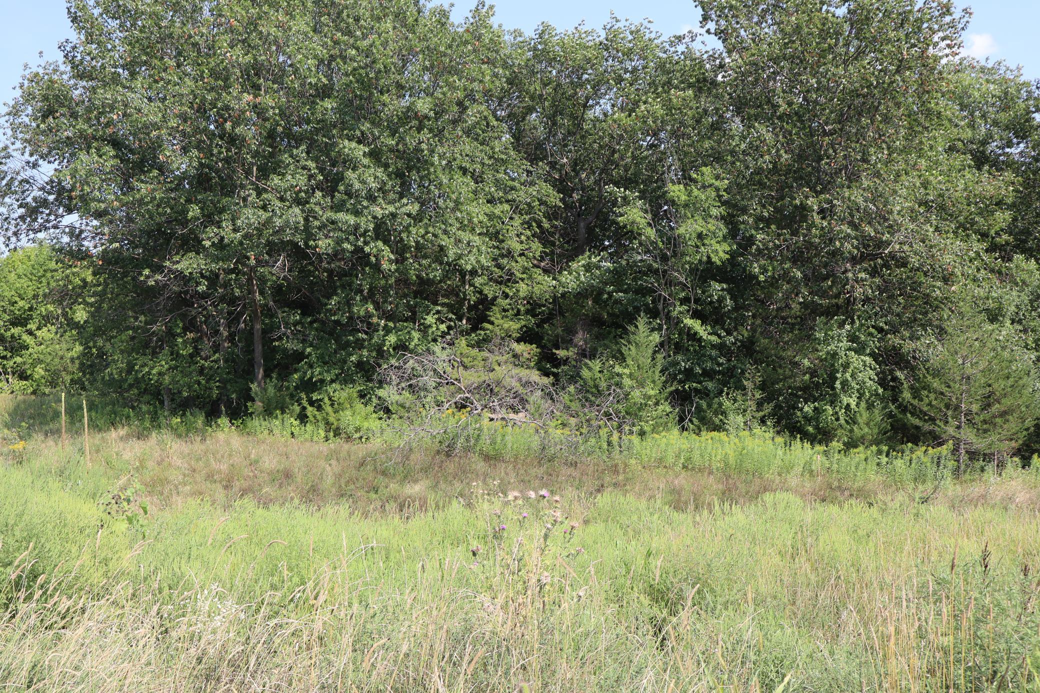 2011 Mulberry Lane Property Photo 2