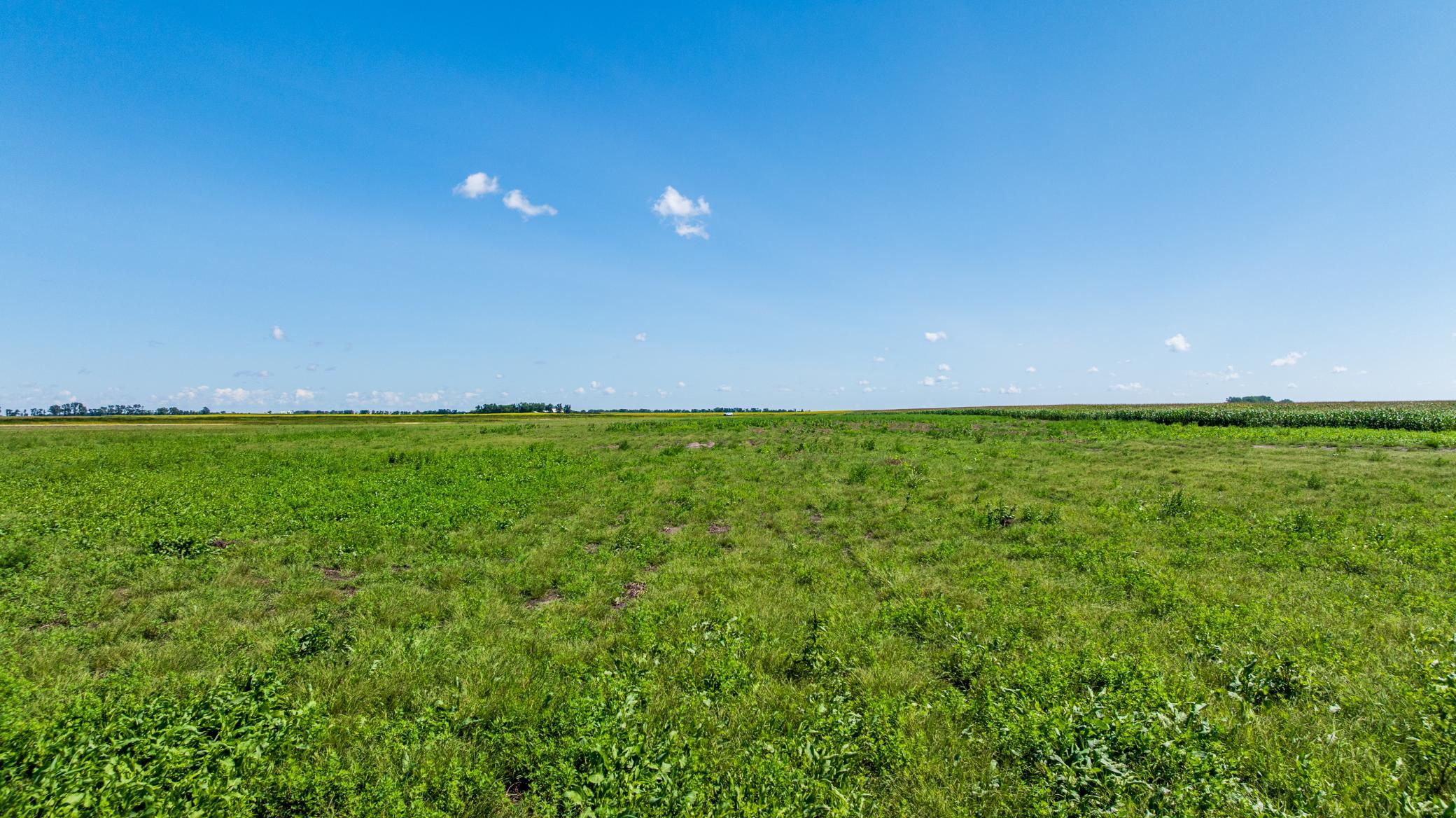 Tbd 97 Ave Se Lot 2 Property Photo 3