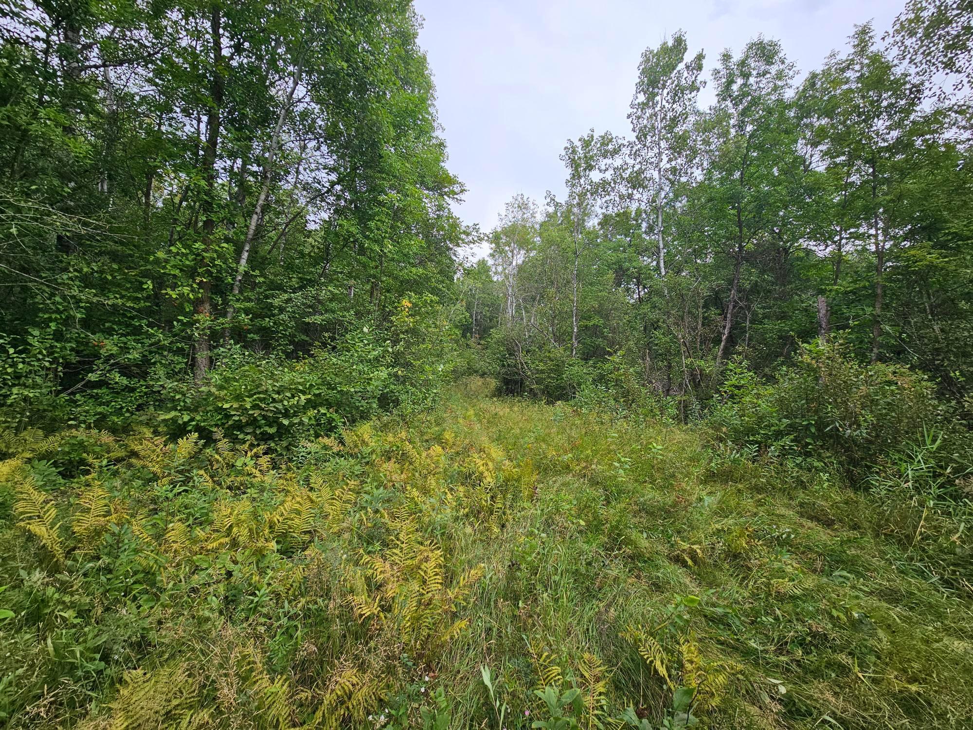 Tbd Moose River Road E Property Photo 2