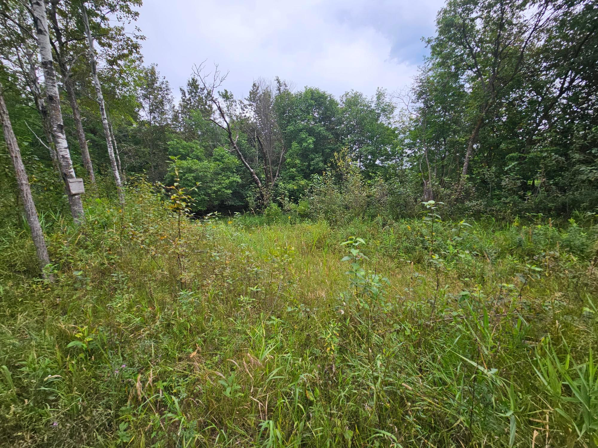 Tbd Moose River Road E Property Photo 3