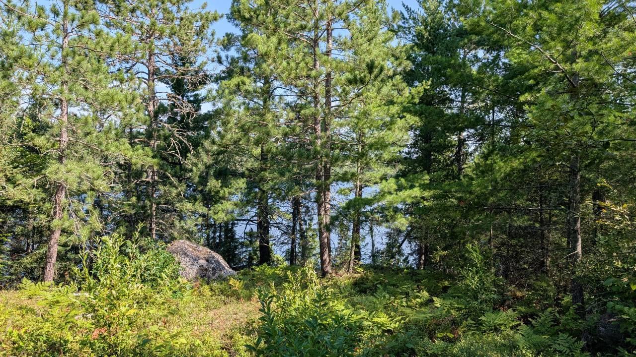 4010 Kennedy Road Property Photo 39
