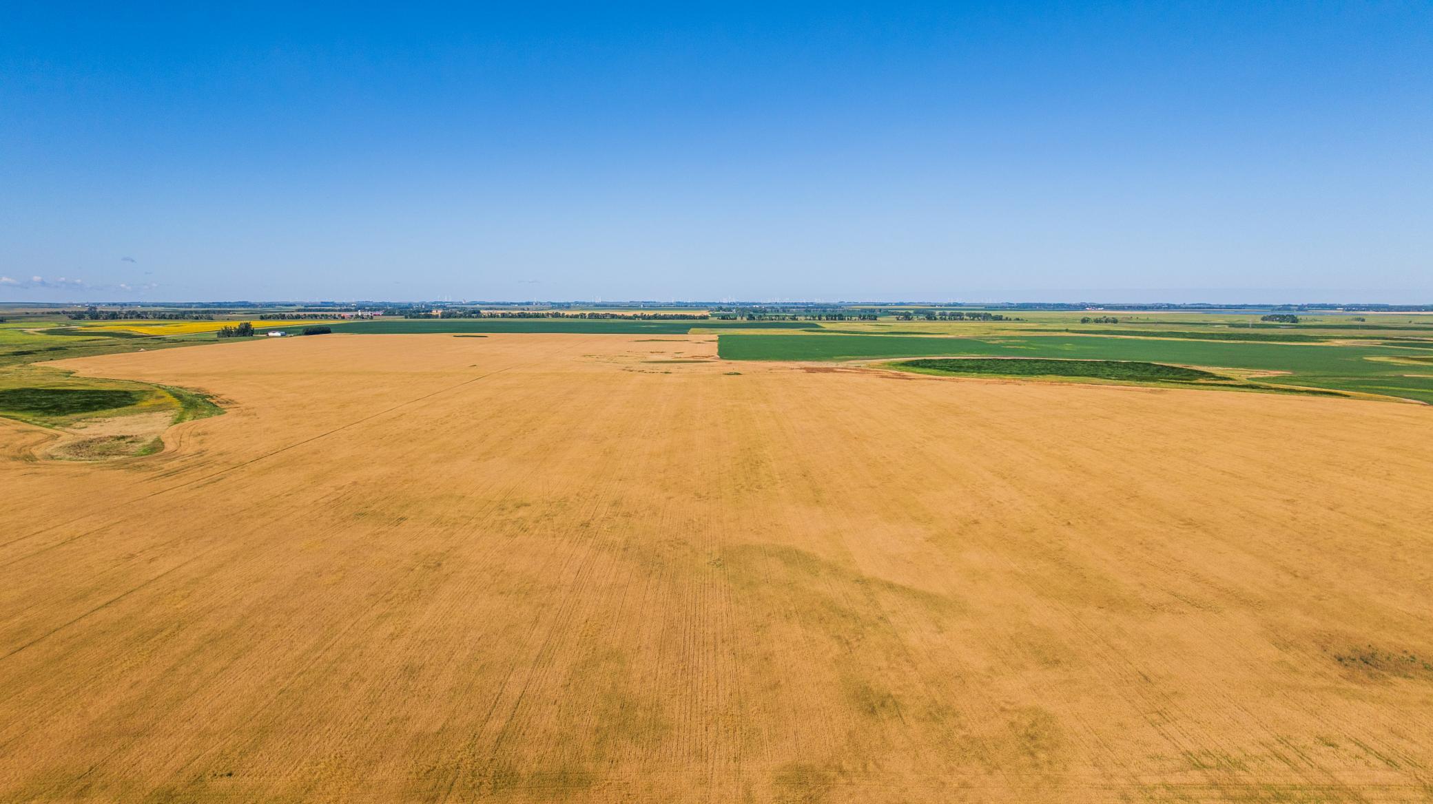 Tbd Cty Rd 4 Lot 4 Property Photo 10