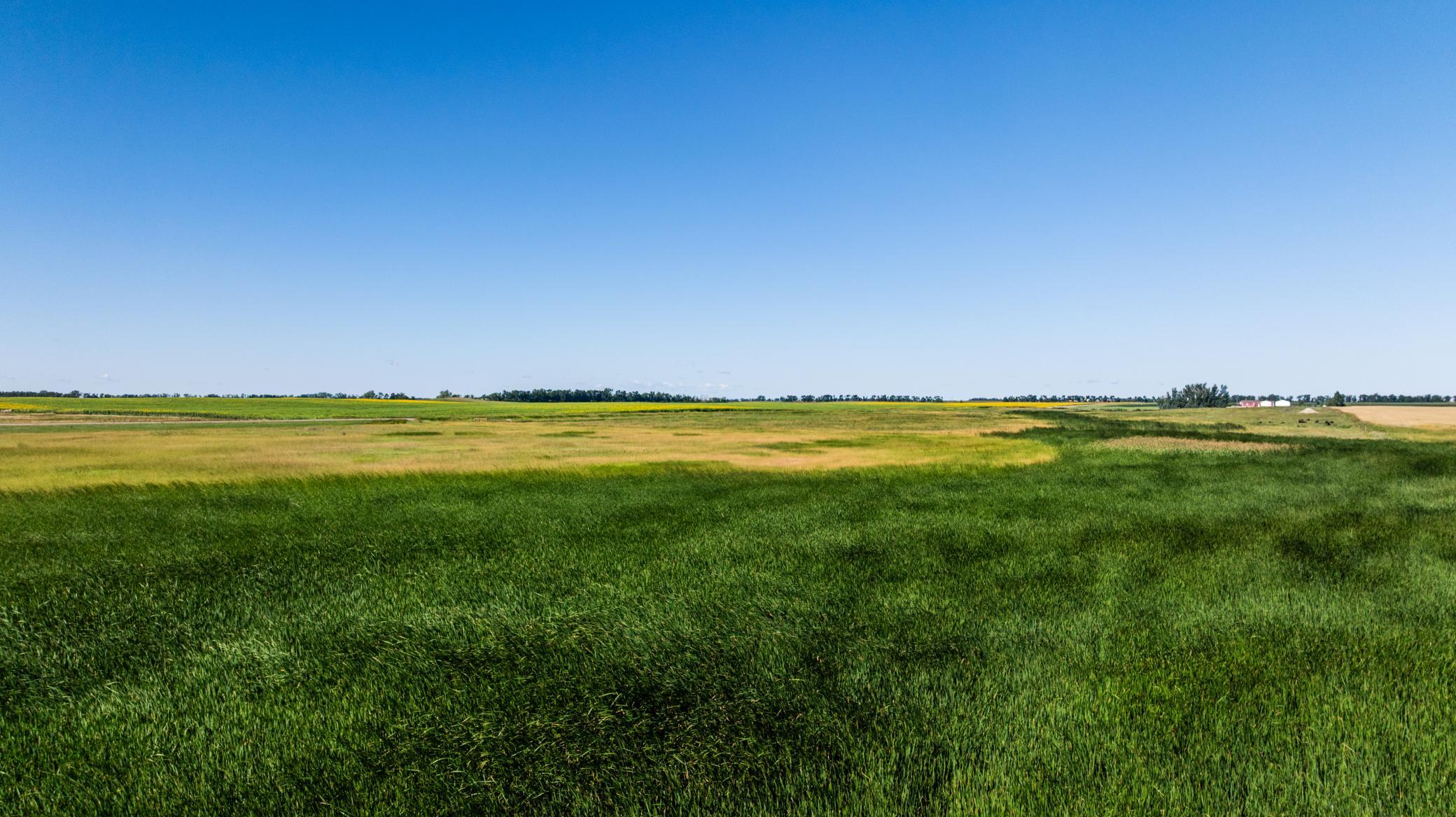 Tbd Cty Rd 4 Lot 4 Property Photo 17