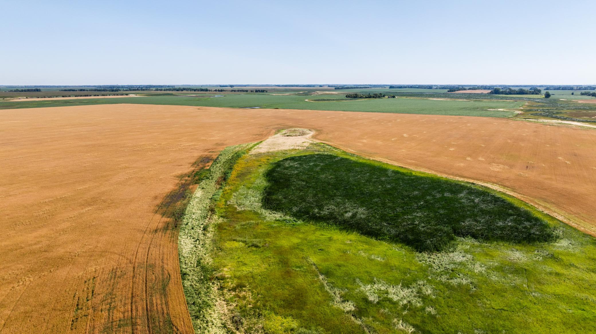 Tbd Cty Rd 4 Lot 4 Property Photo 20