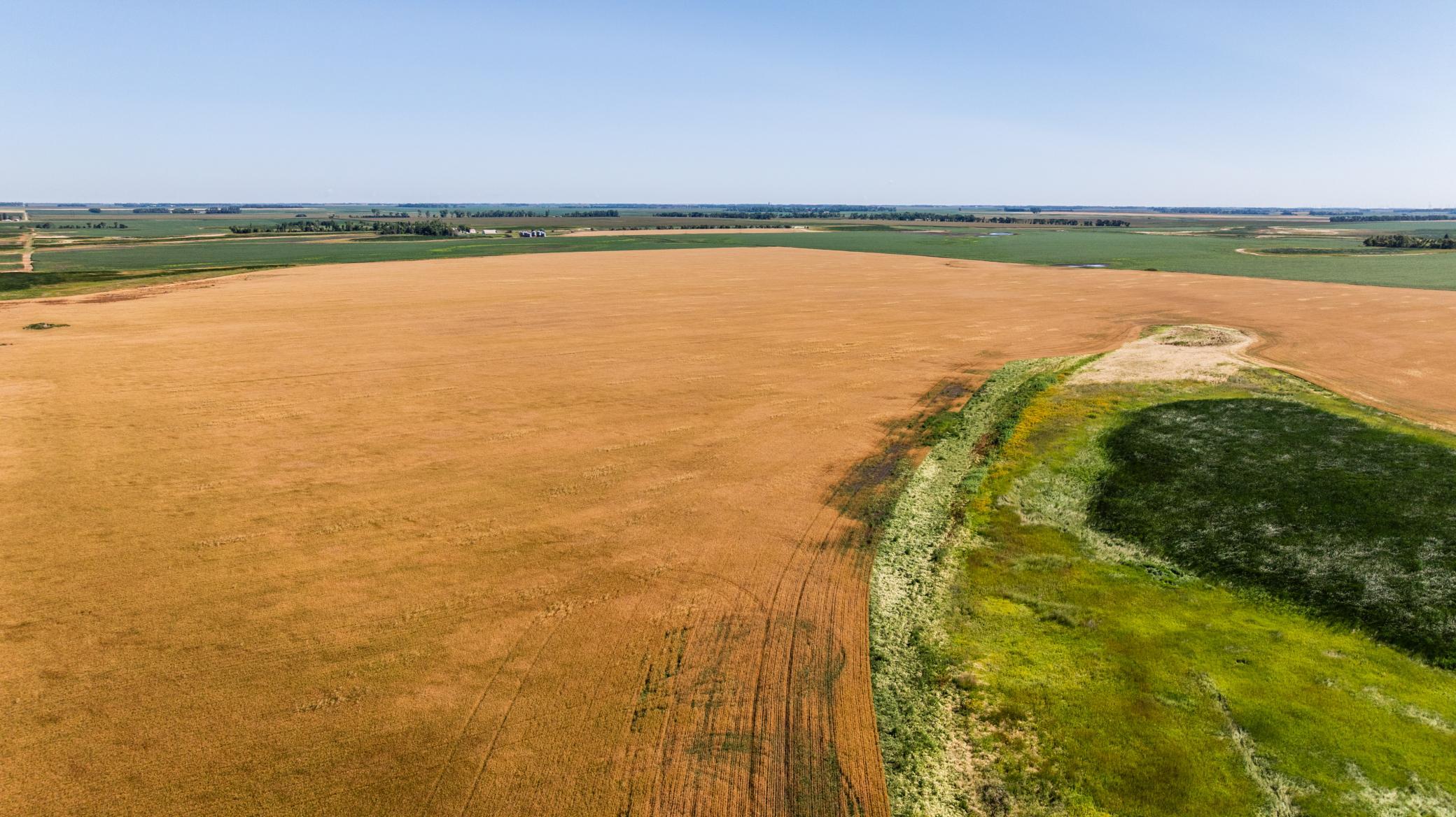 Tbd Cty Rd 4 Lot 4 Property Photo 21