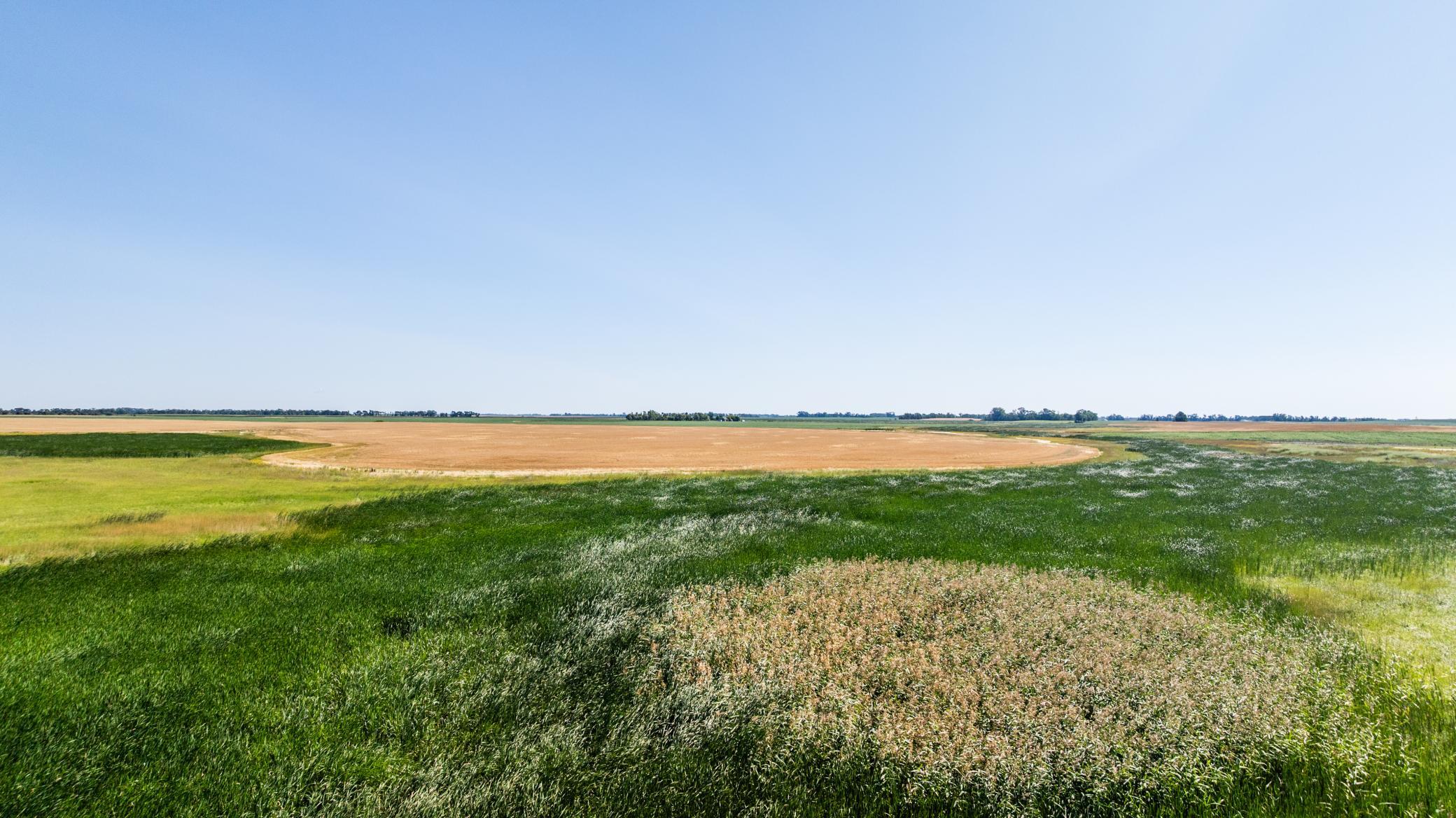 Tbd Cty Rd 4 Lot 4 Property Photo 22