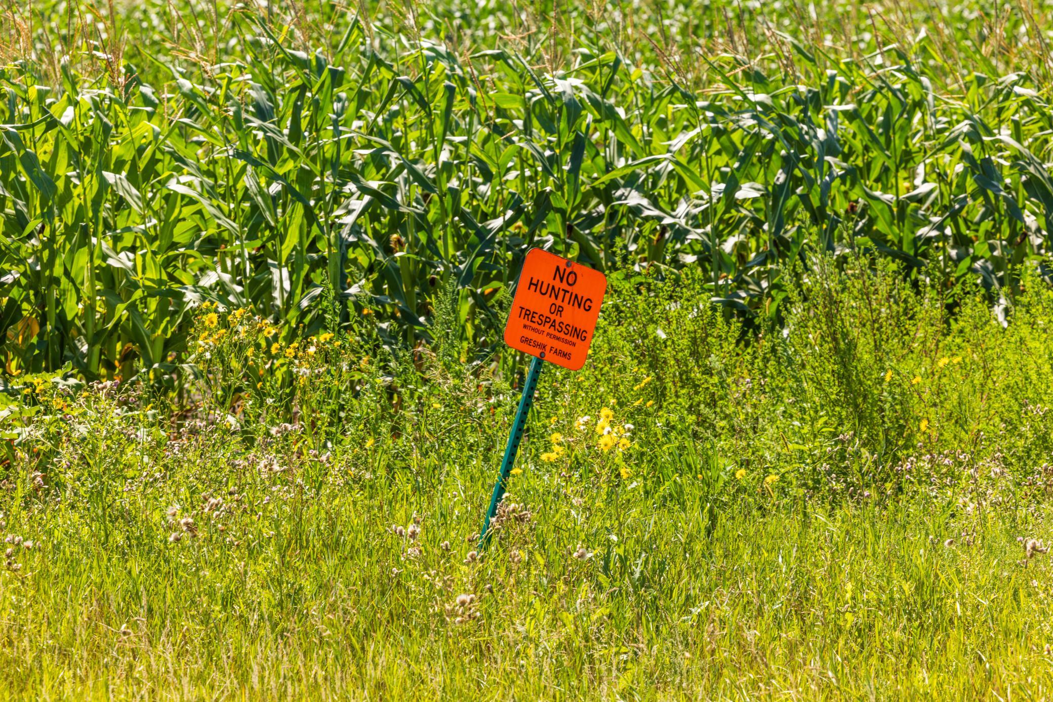 Tbd Cty Rd 4 Lot 4 Property Photo 30