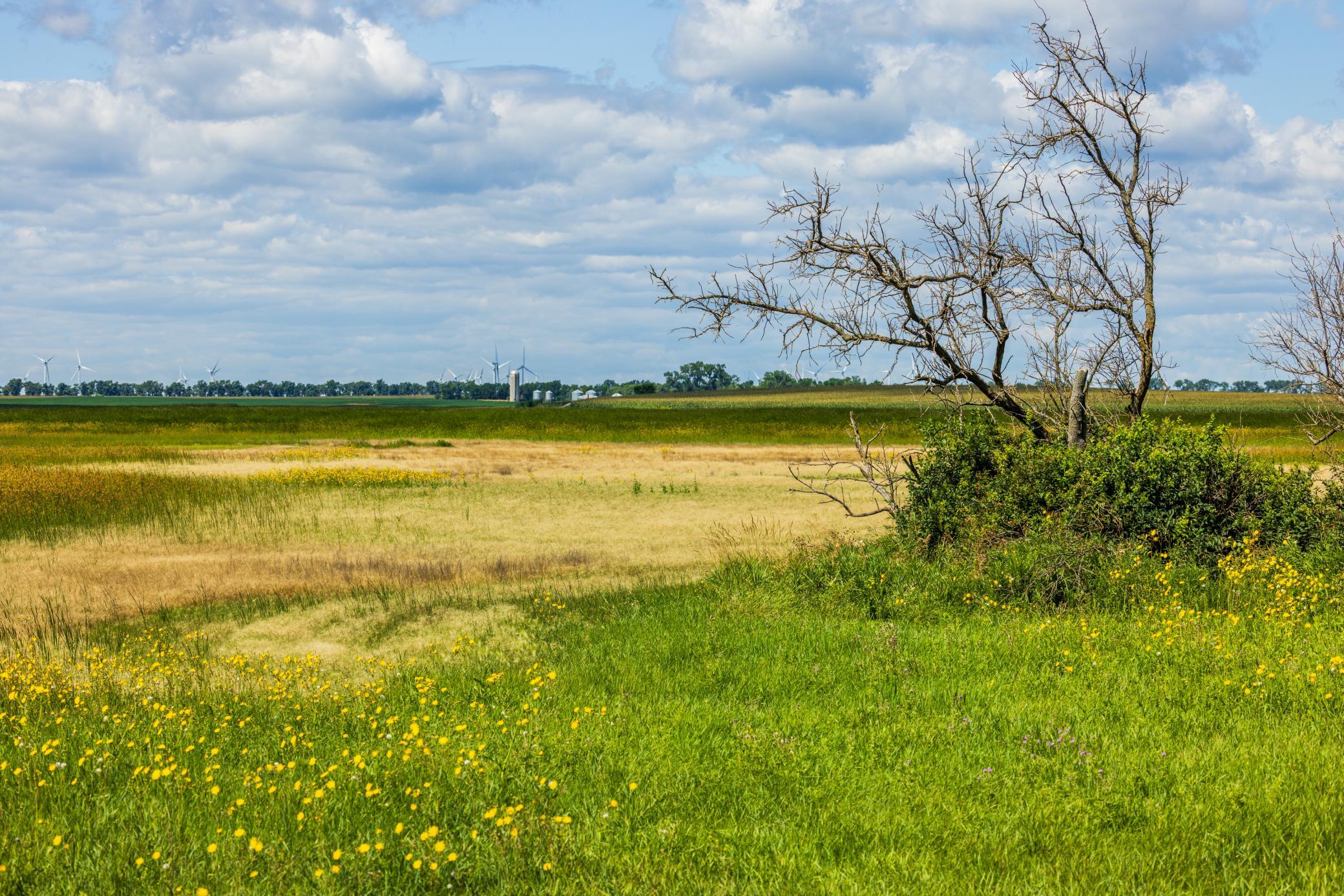 Tbd Cty Rd 4 Lot 4 Property Photo 35